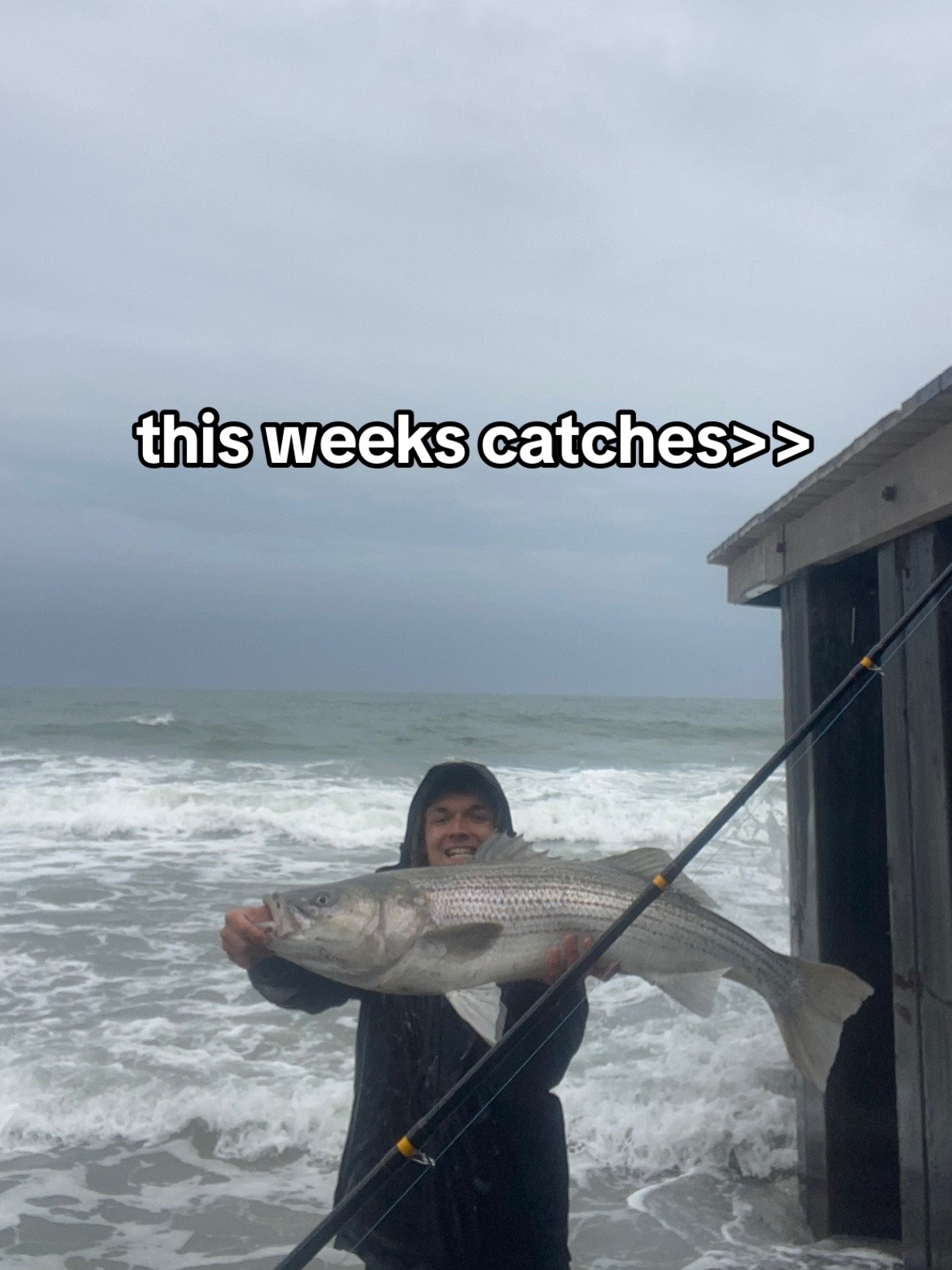@Fish The East