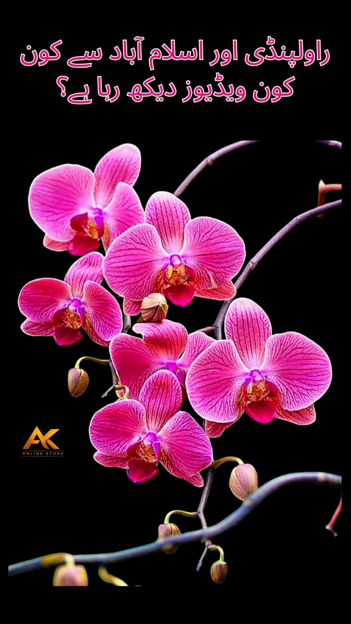 @Ak online store