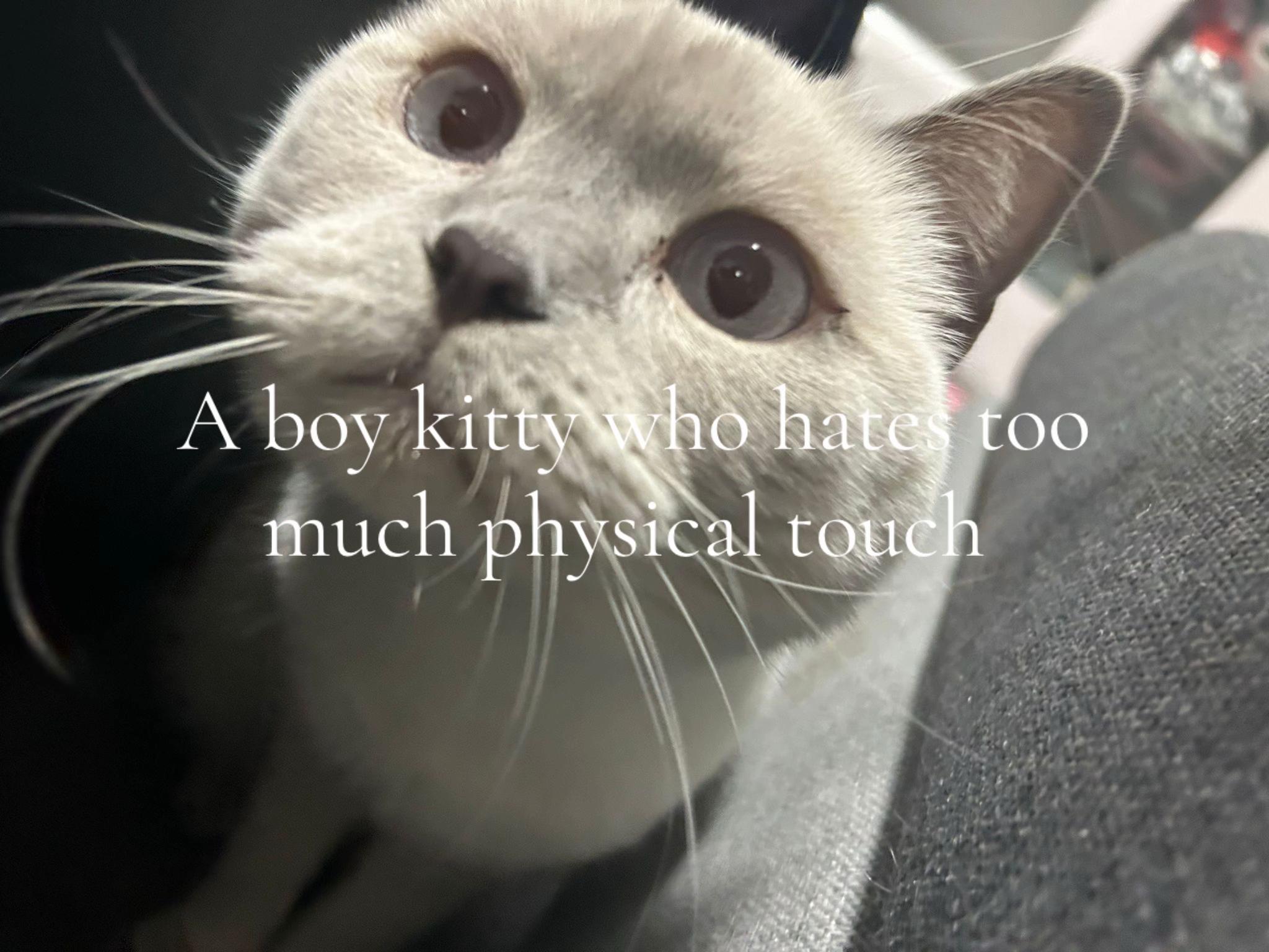 @★/⦻