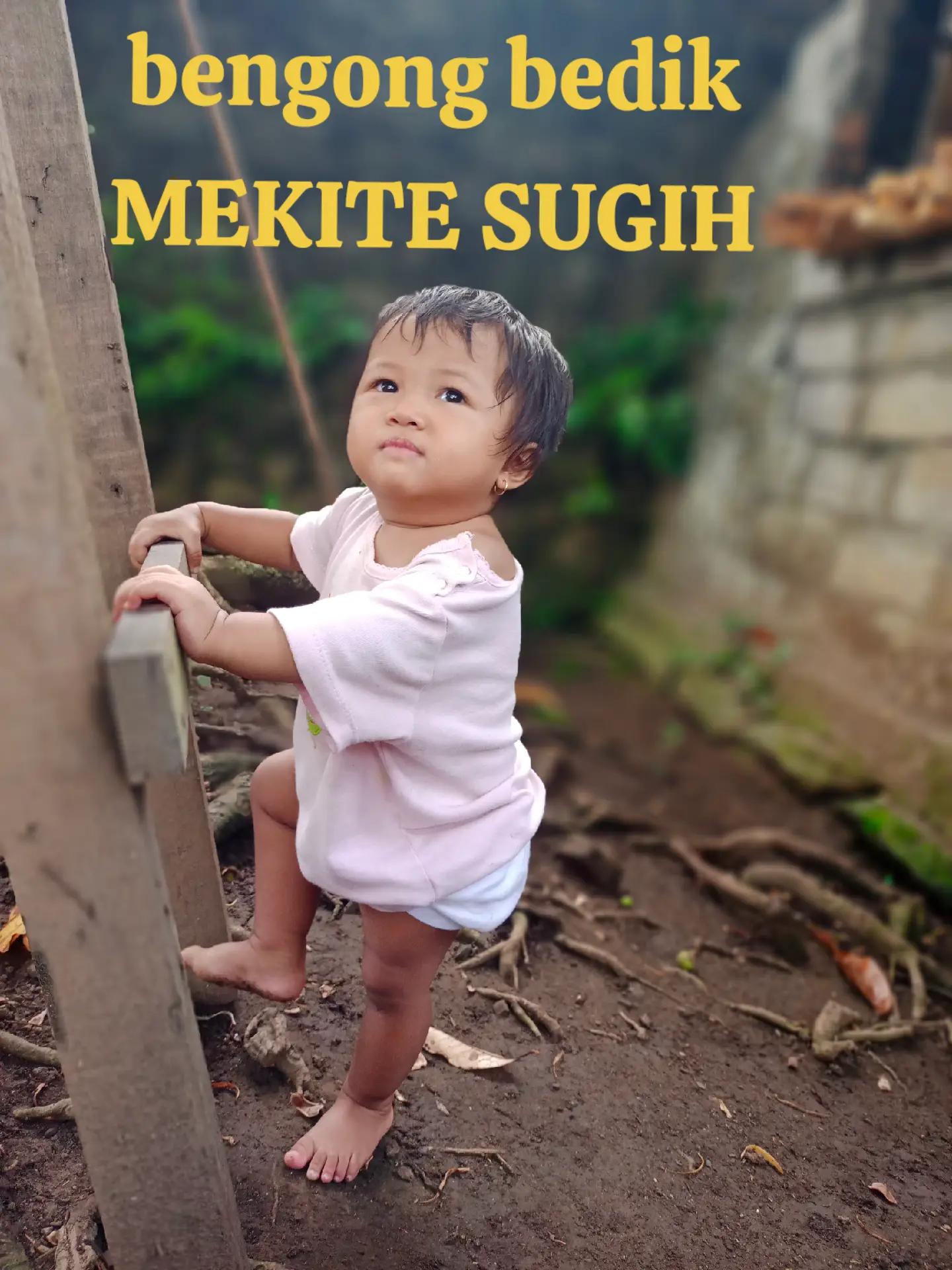 @guswengky