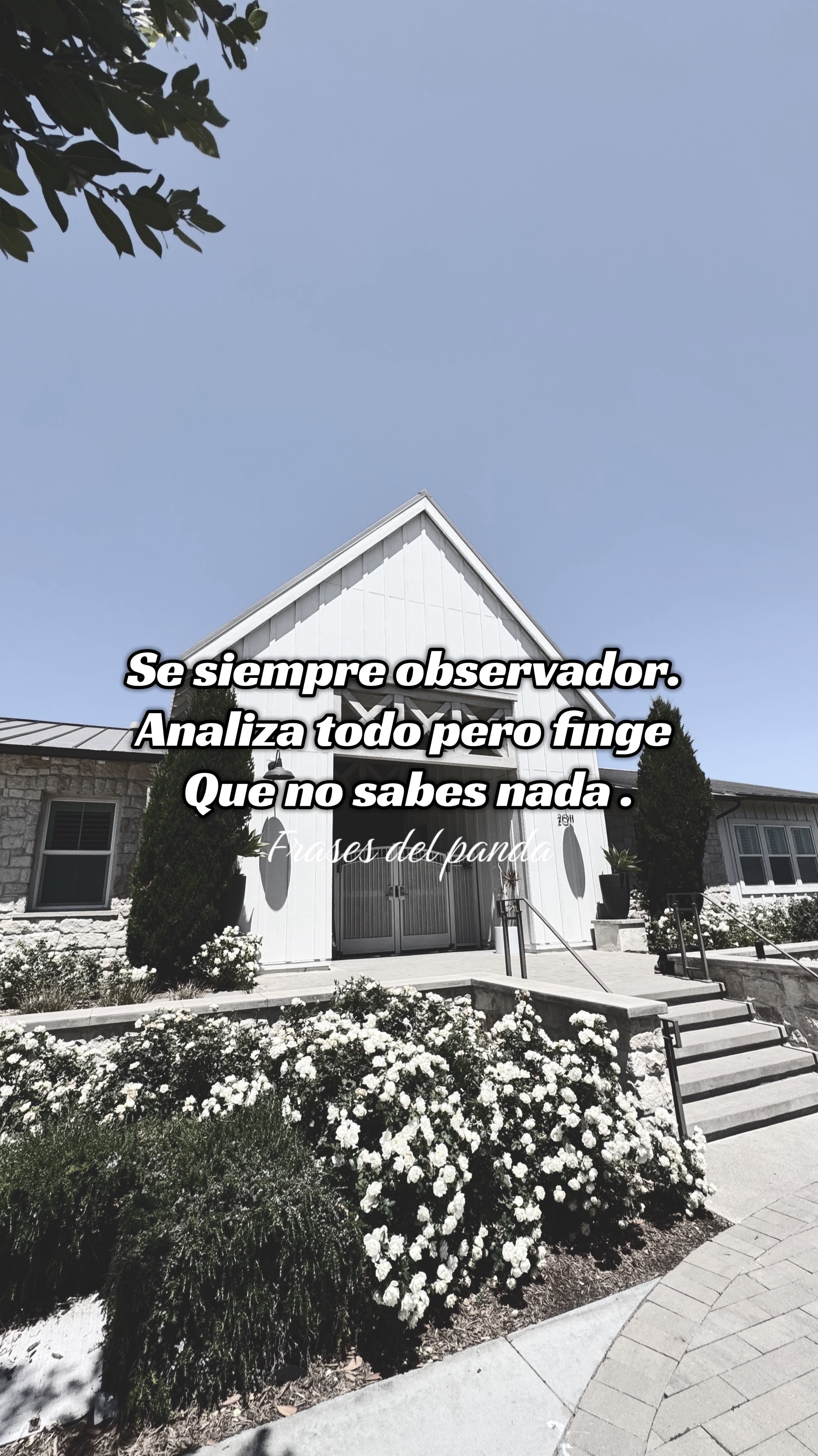 @frases del panda 🥷🏽