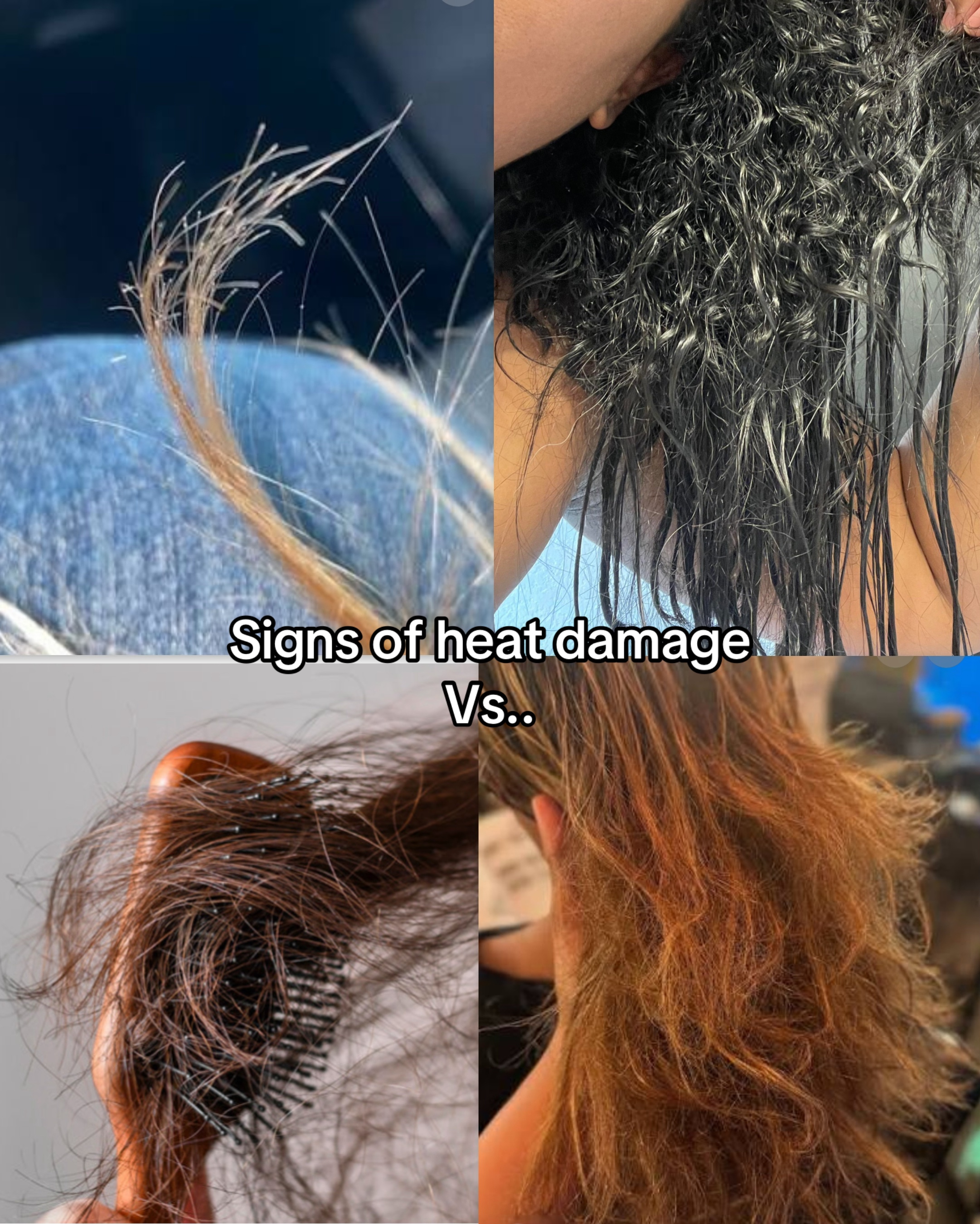 @Mariana Moragui