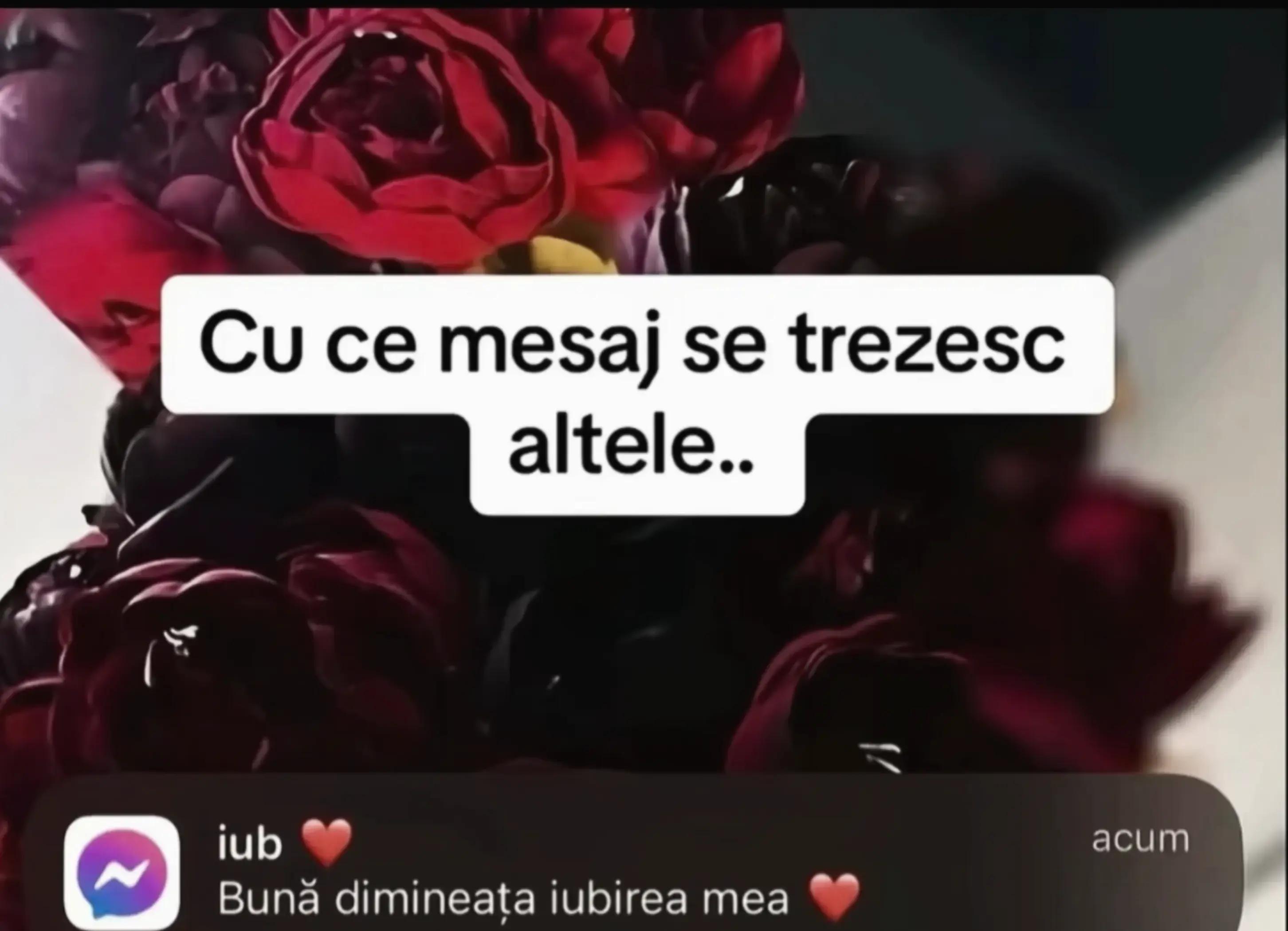 @🦋🫶nicoleta__16🦋🫶