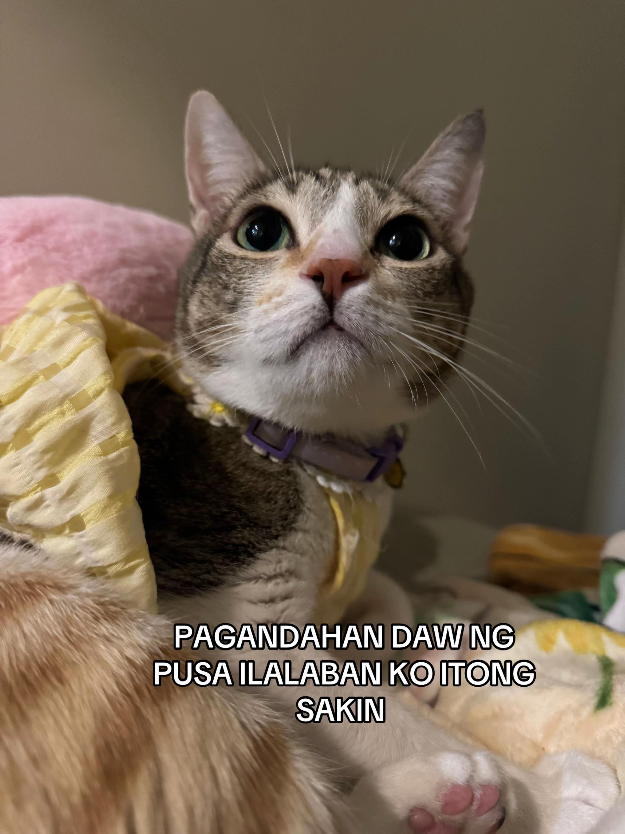 @Jam