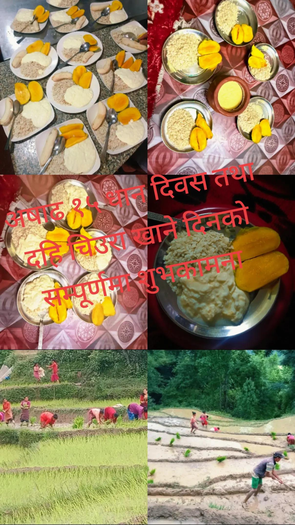@Krishna Karki