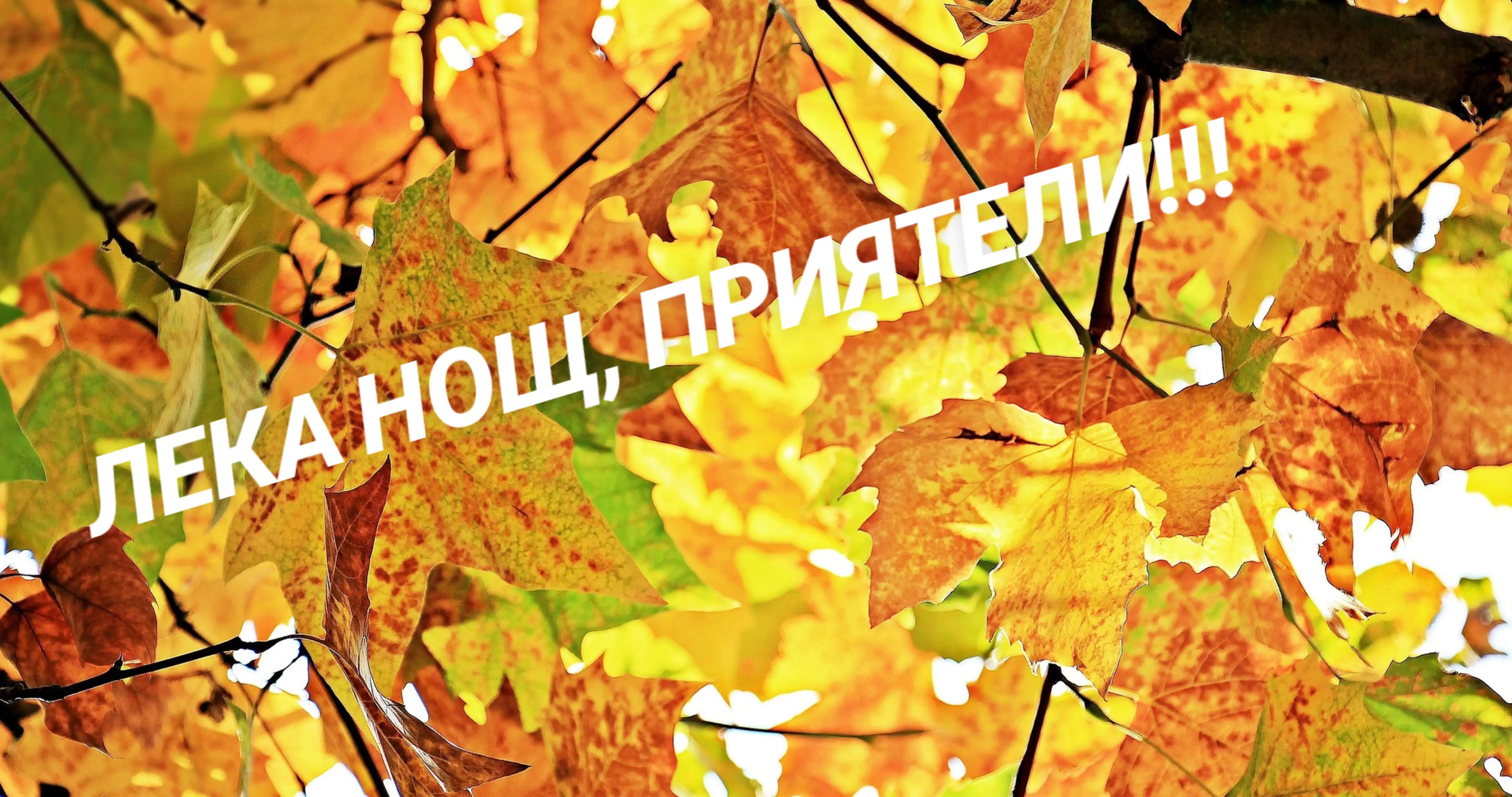 @ИЦКО