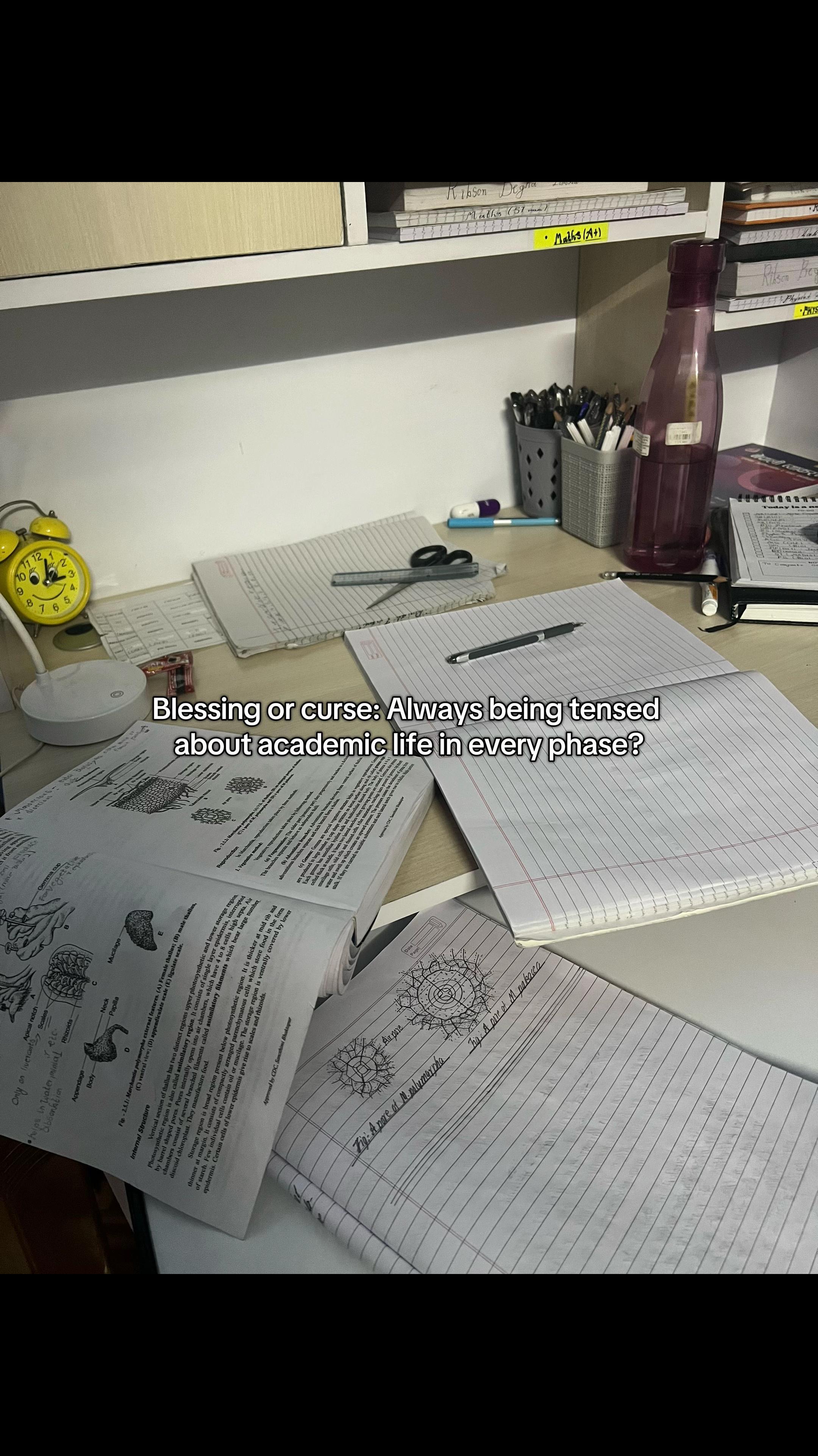 @The Study One🎓|𝓡𝓲𝓫𝓼𝓸𝓷🧿
