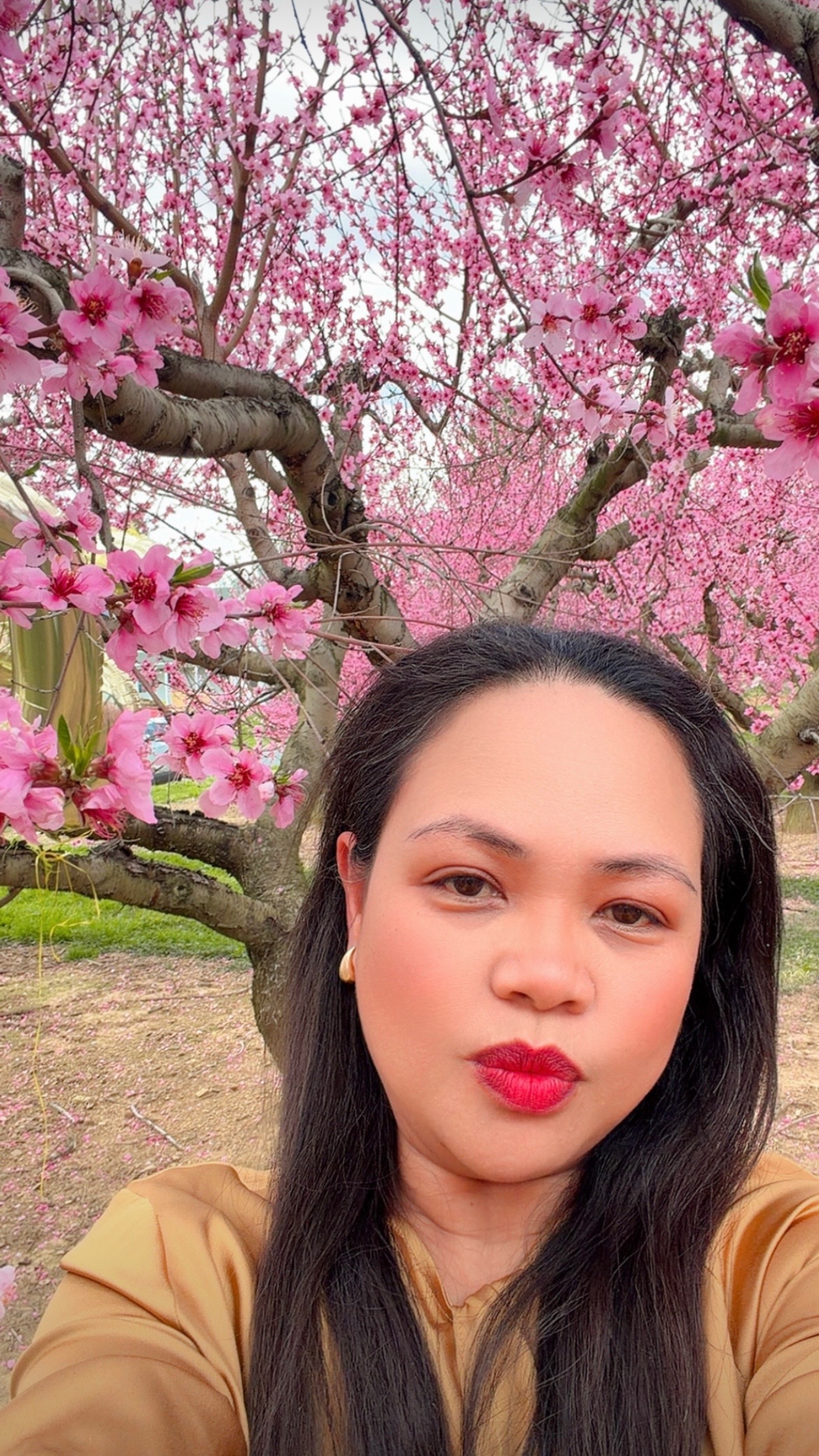 @travel@RNsheng🇵🇭🇺🇸