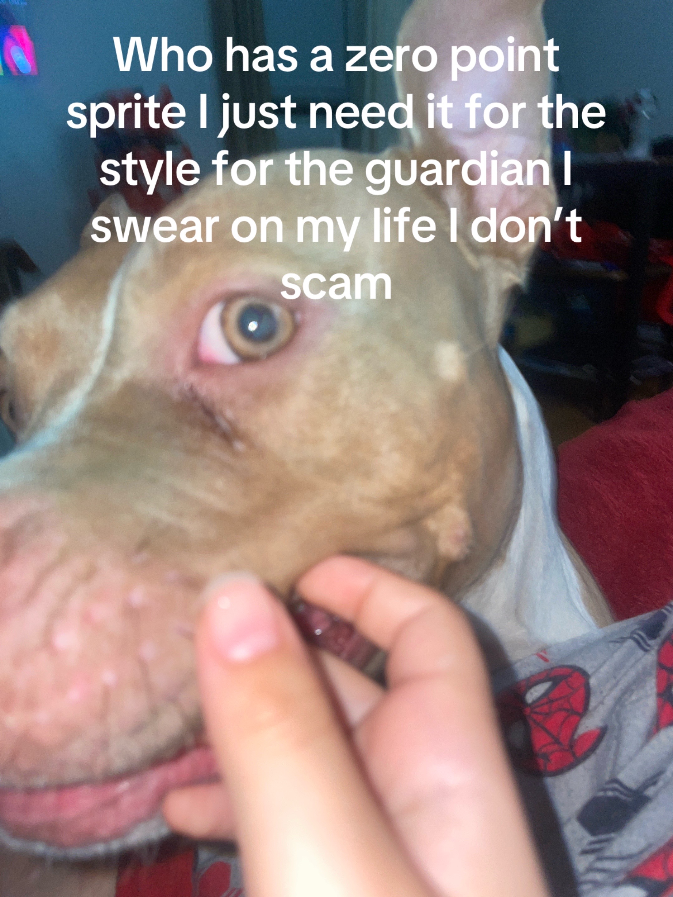 @:/