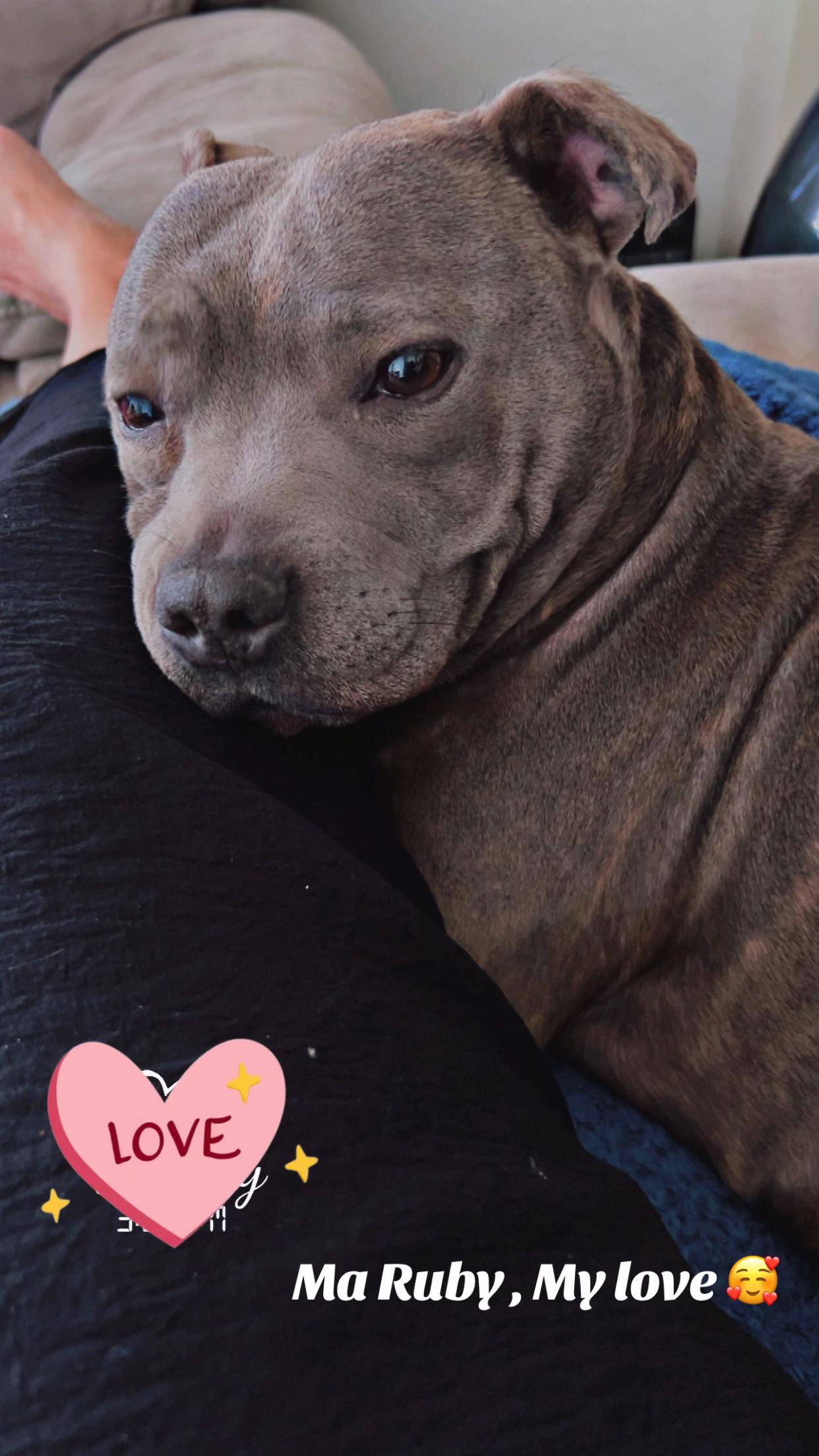 @rubylove_staffie94