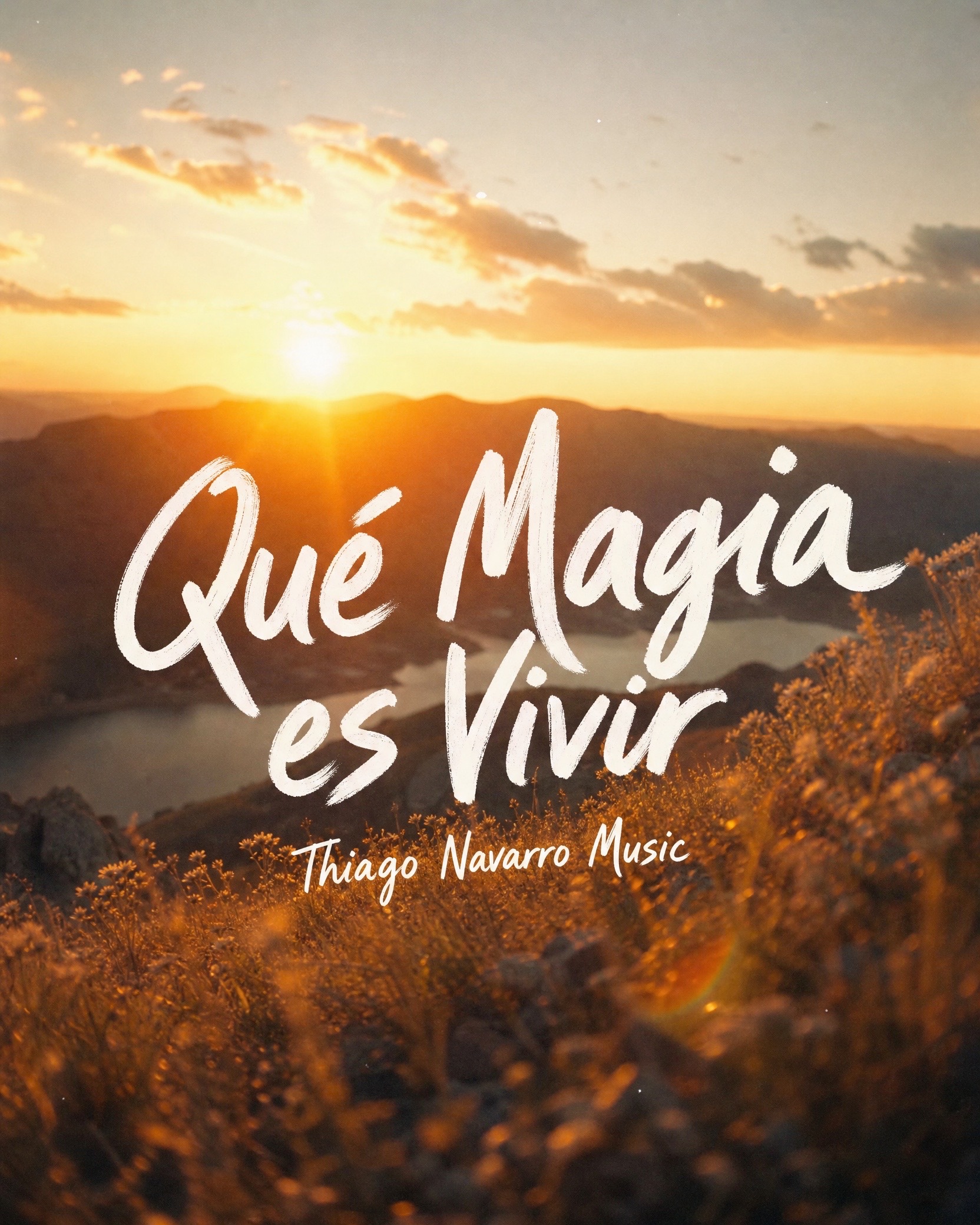 @Thiago Navarro Music