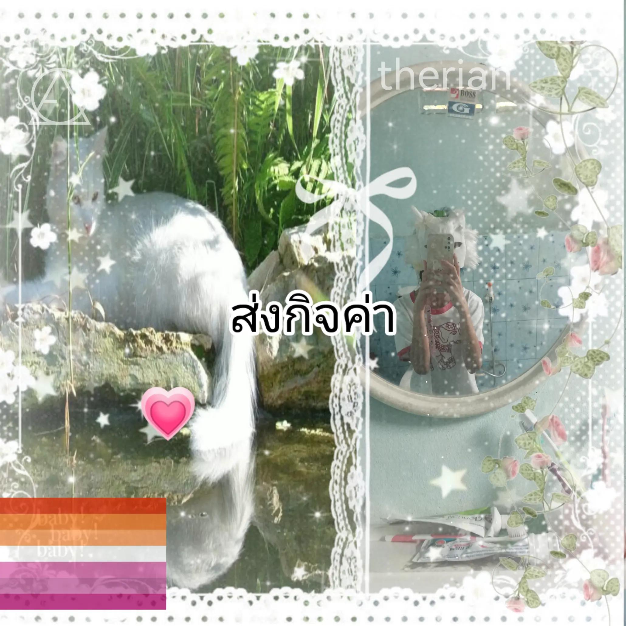 @🌿𝑝𝑎𝑛𝑔𝑦𝑎★🌱╶⃝⃤