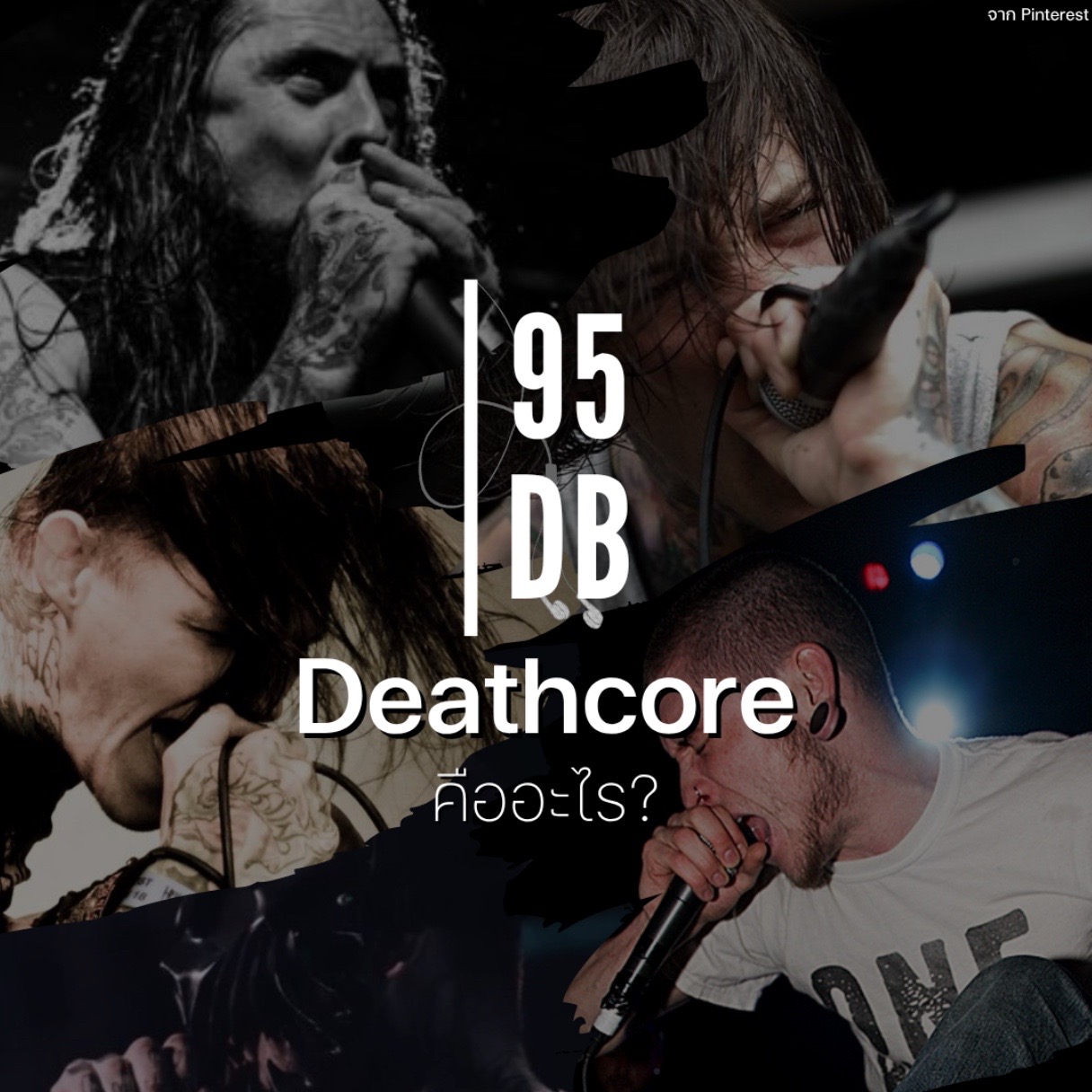 @95DB