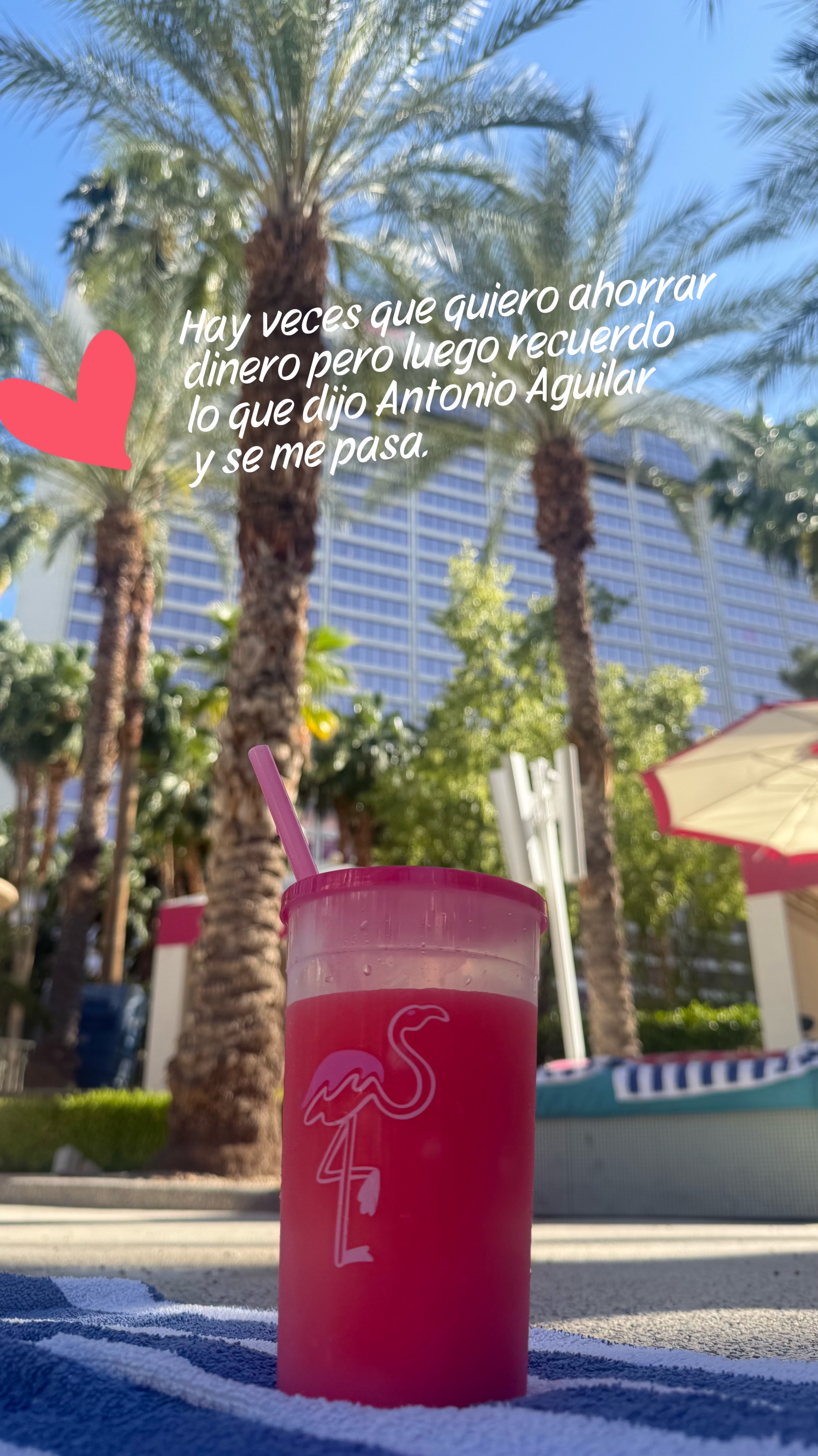 @🩷𝗖𝗵𝗶𝗸𝗶𝘀