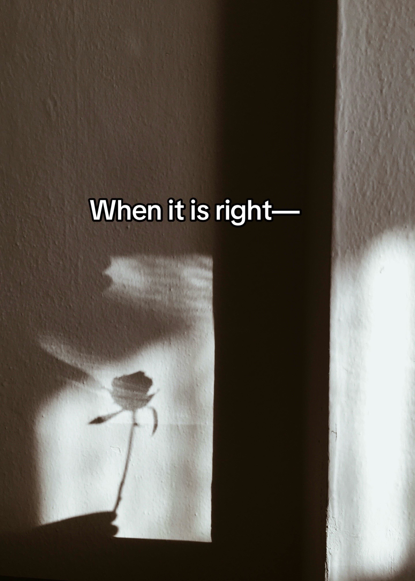 @Thought Catalog