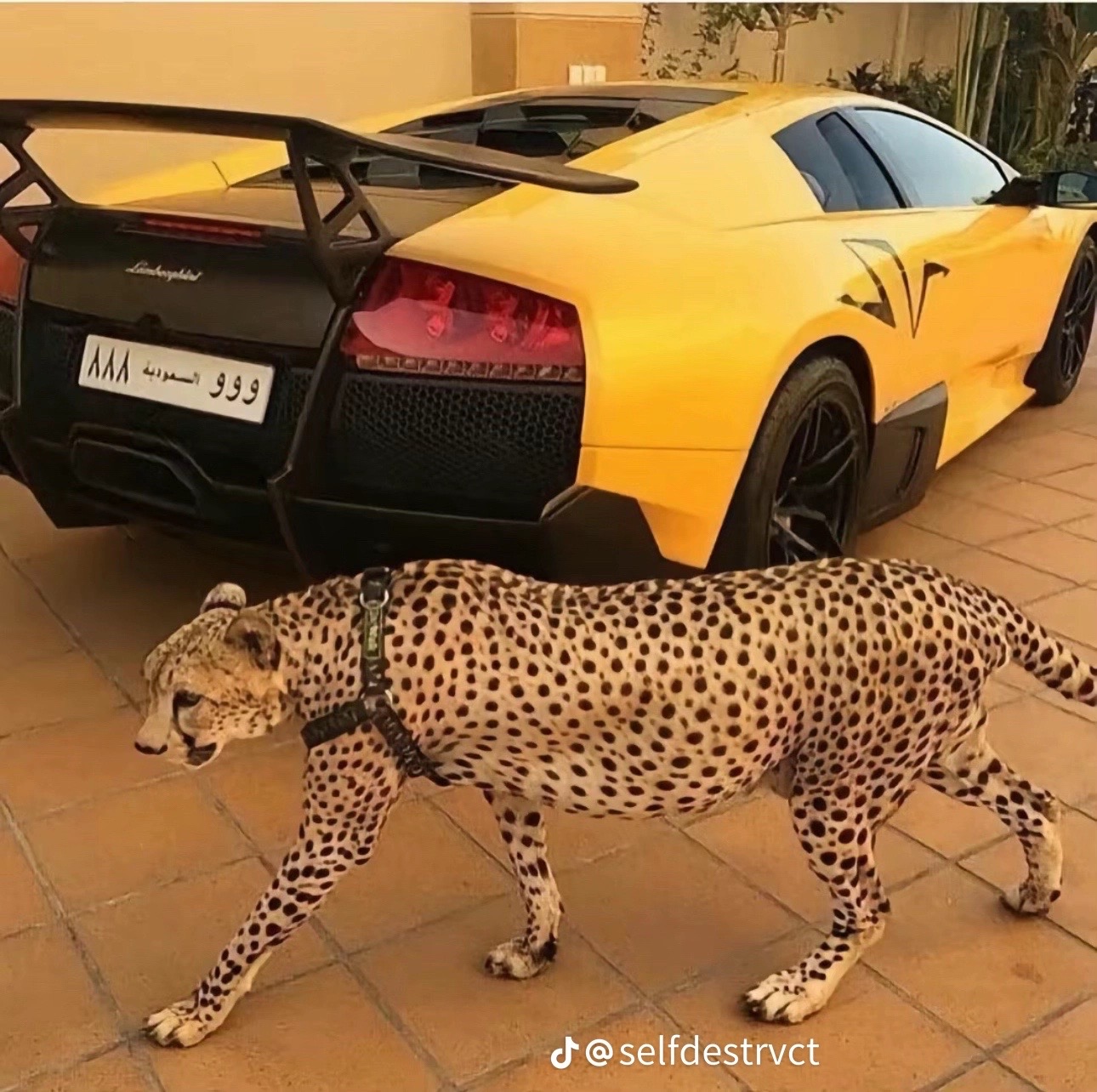 @Adam cars