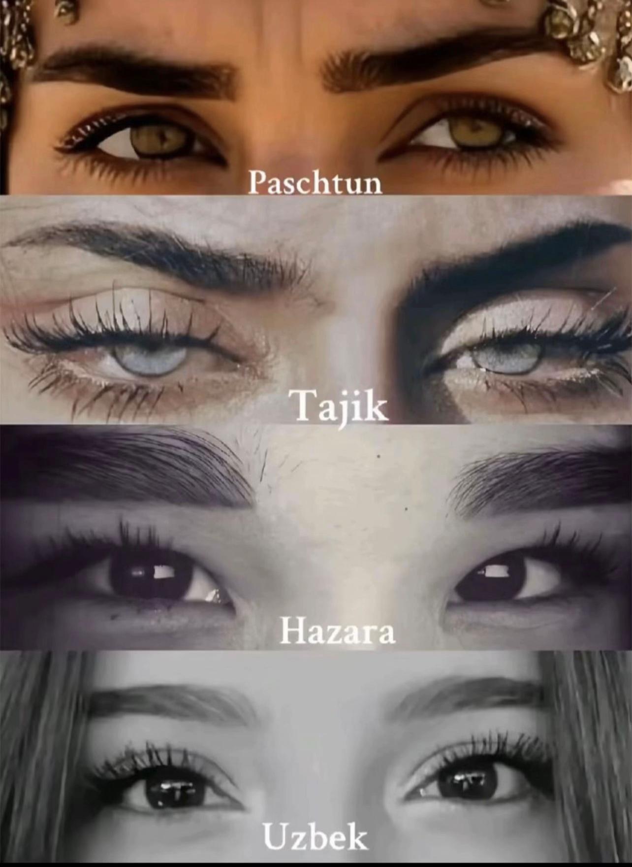 @zayn736484