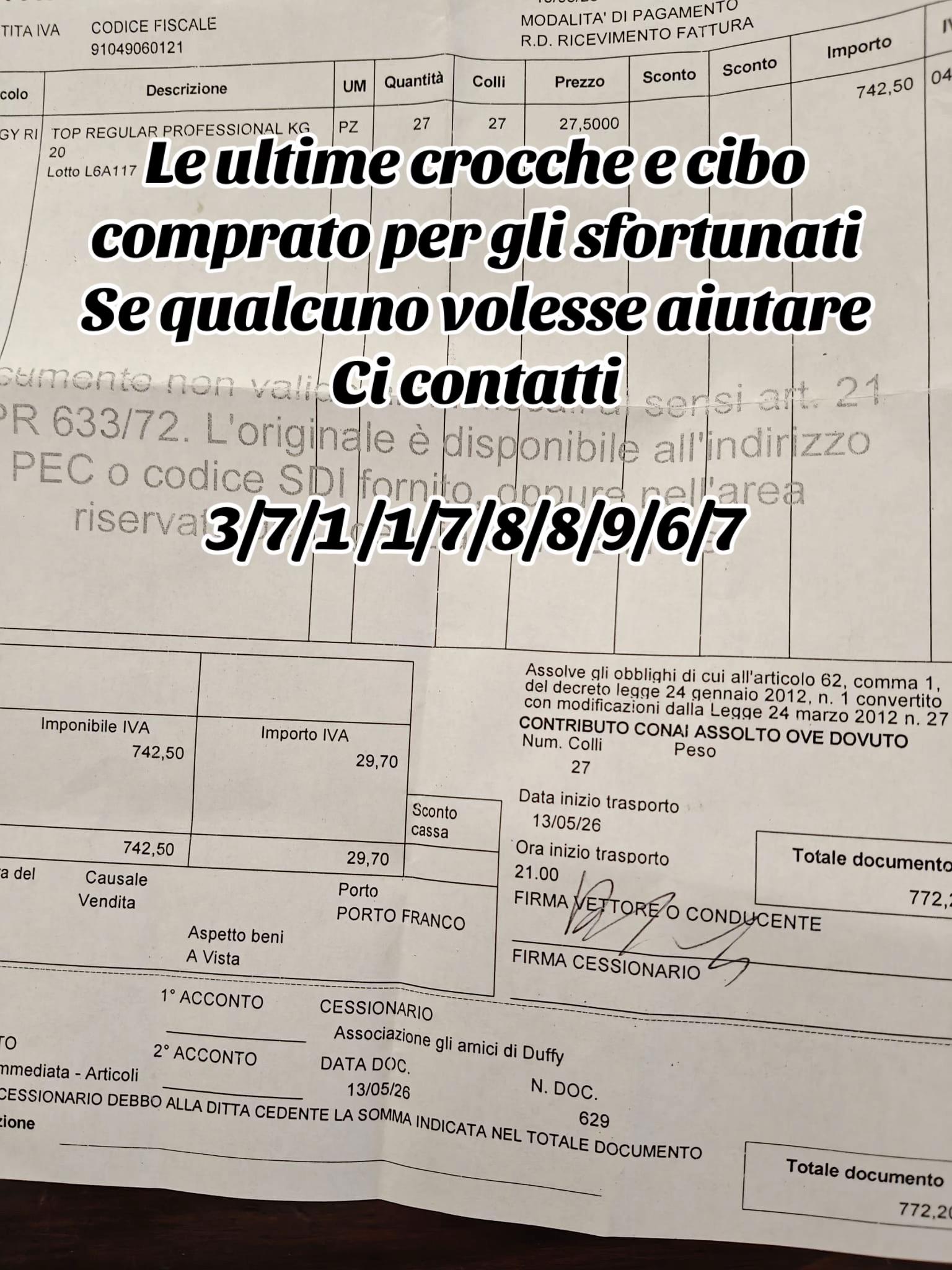 @I randagi di nessuno