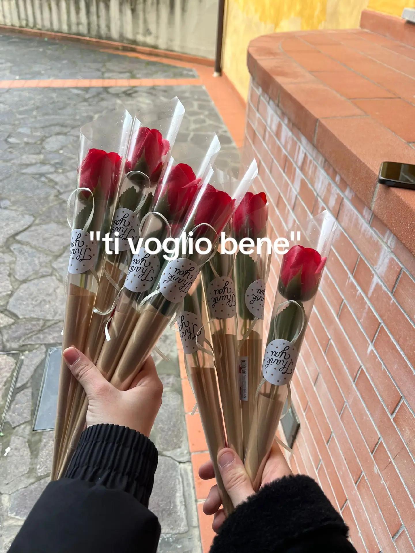 @Megghi🪐🧸