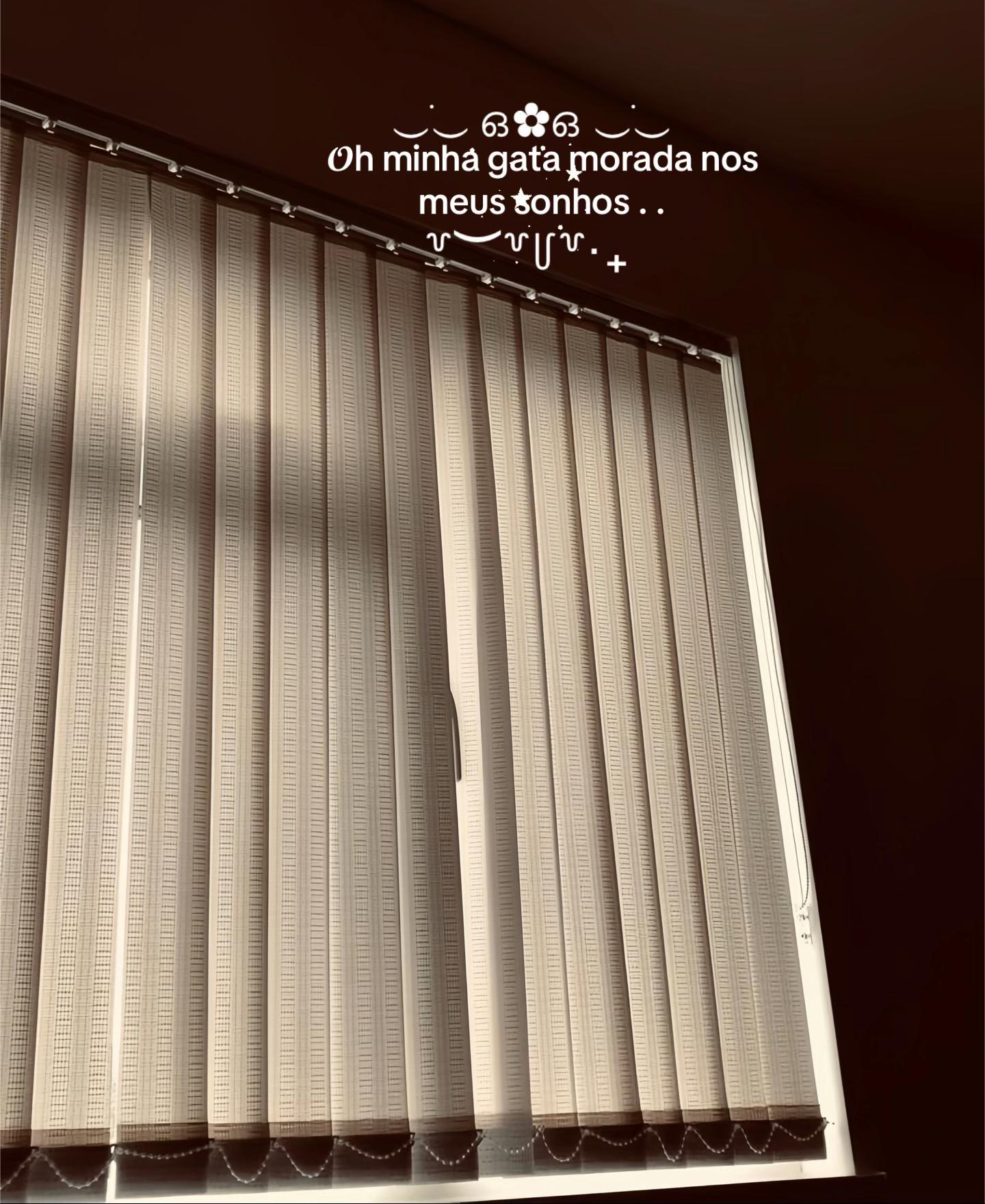 @𐙚 ݁. lau ( jennie