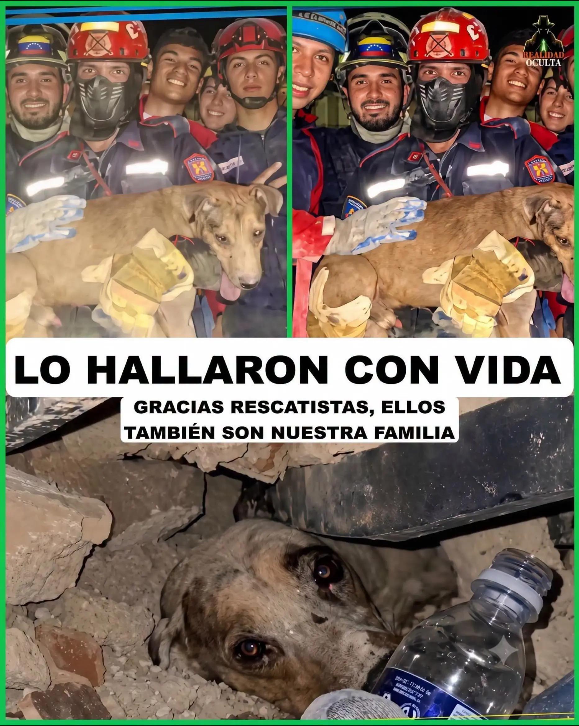@Panda informativo