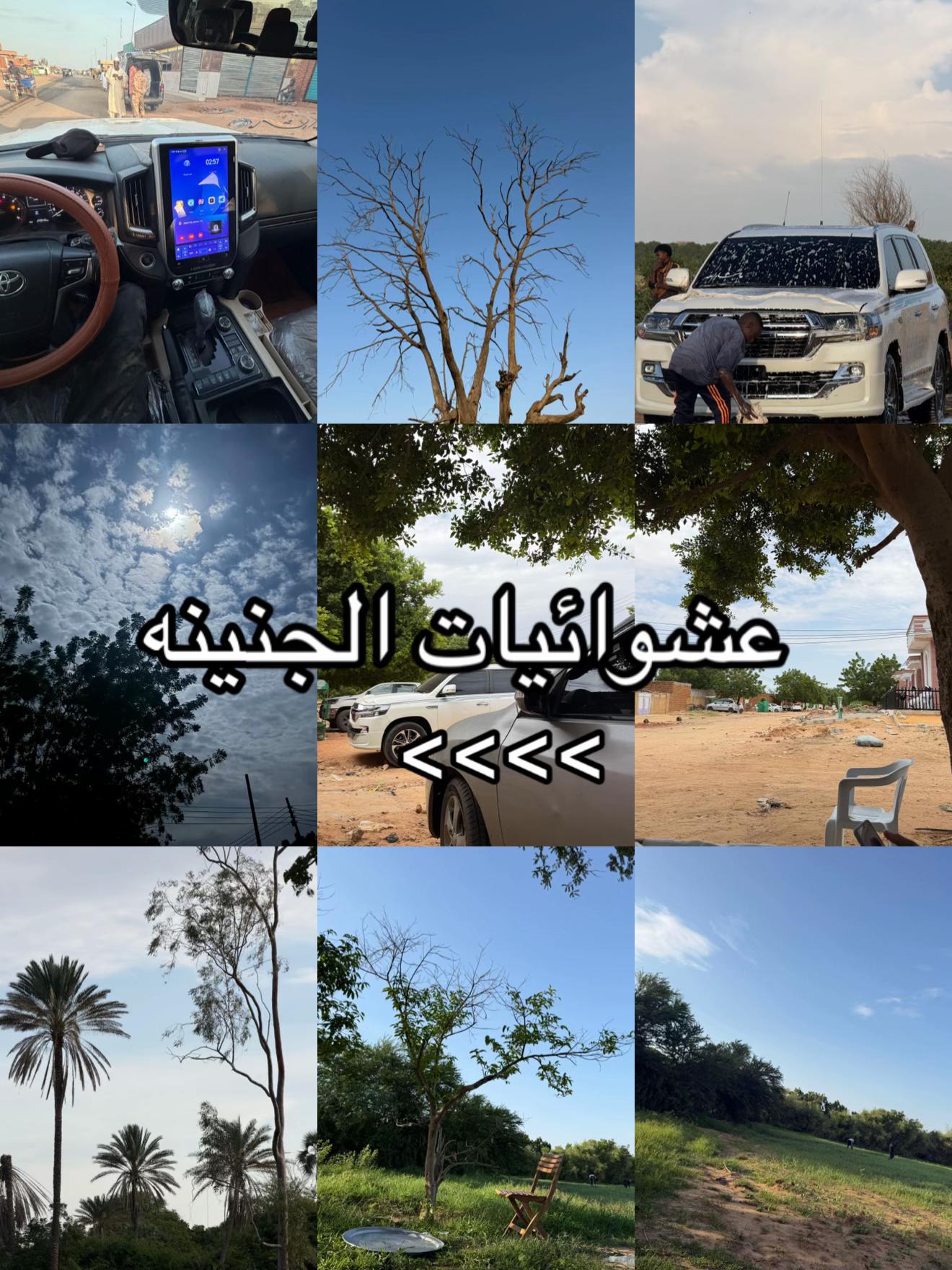 @السـنـافي | ١٤٤٧هـ 🦅