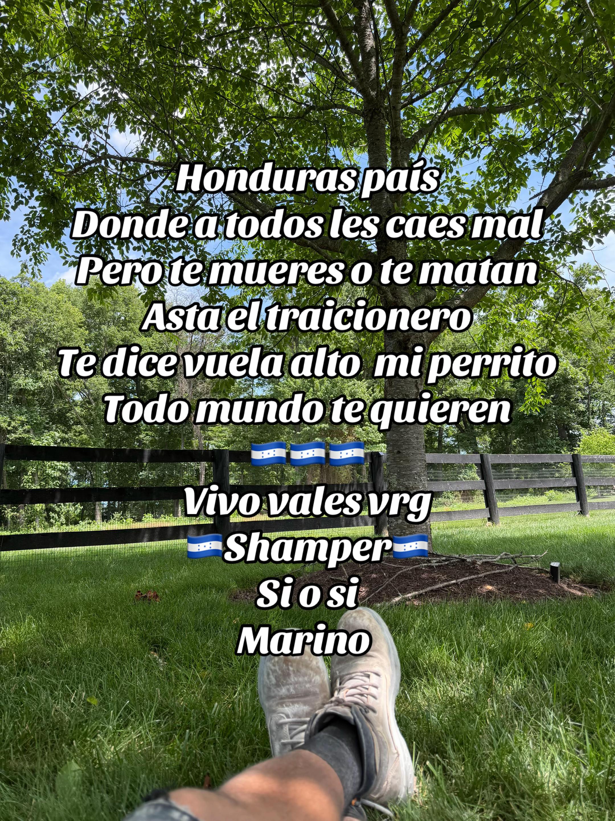 @🇺🇸🇭🇳𝔰𝔥𝔞𝔪𝔭𝔢𝔯🇭🇳🇺🇸