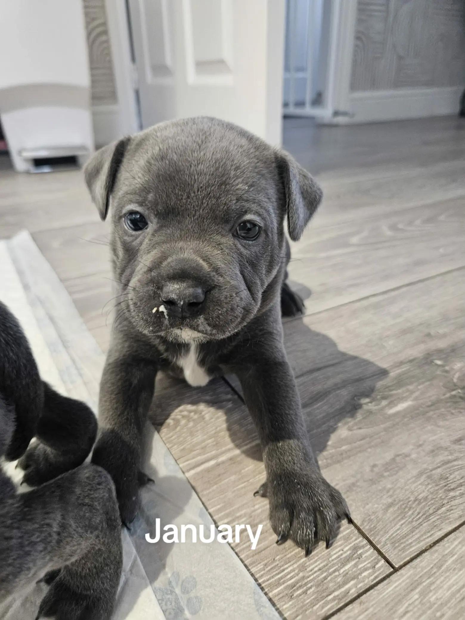@𝕆𝕕𝕚𝕟🐾