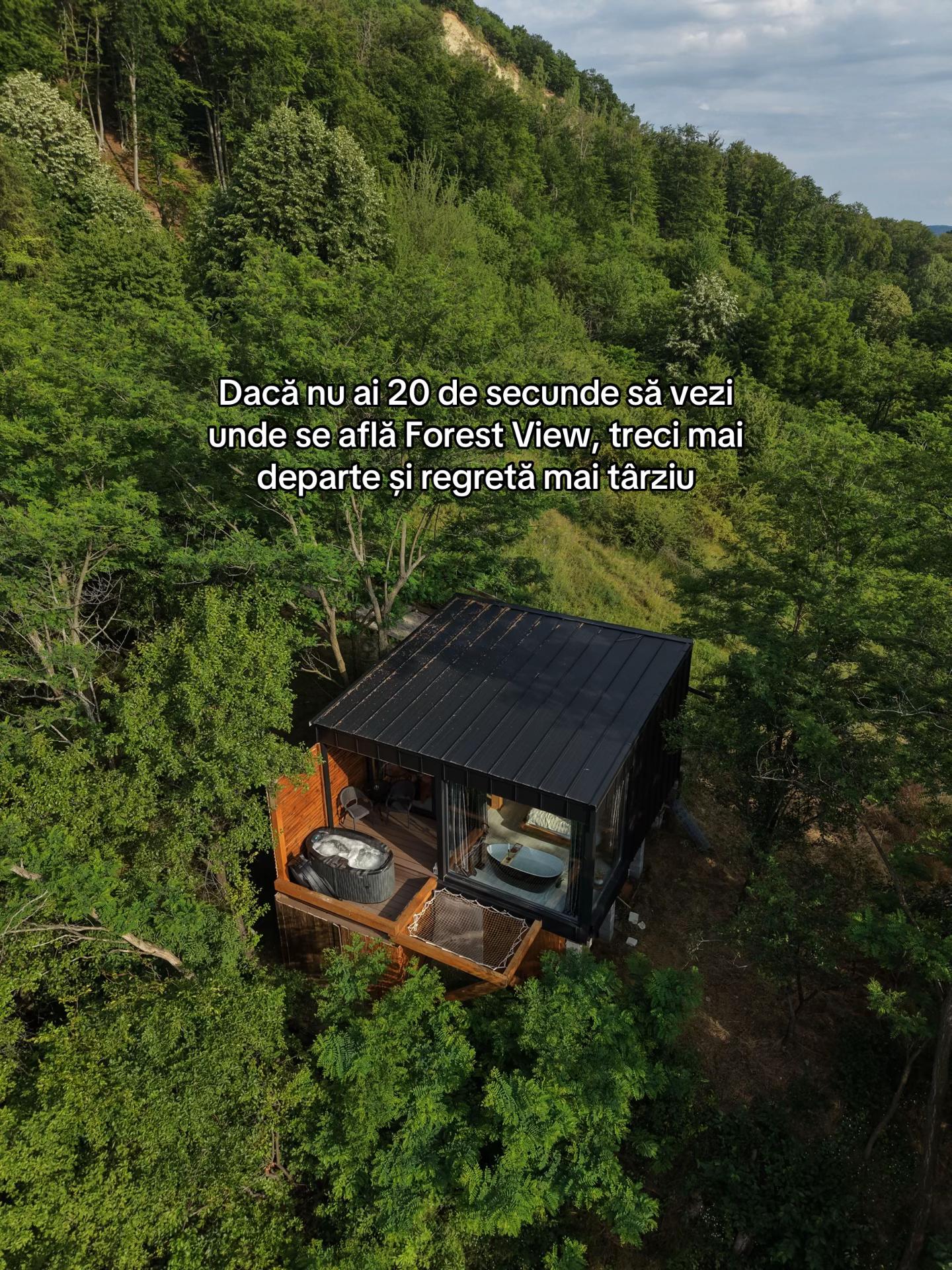 @Forest View Valcea