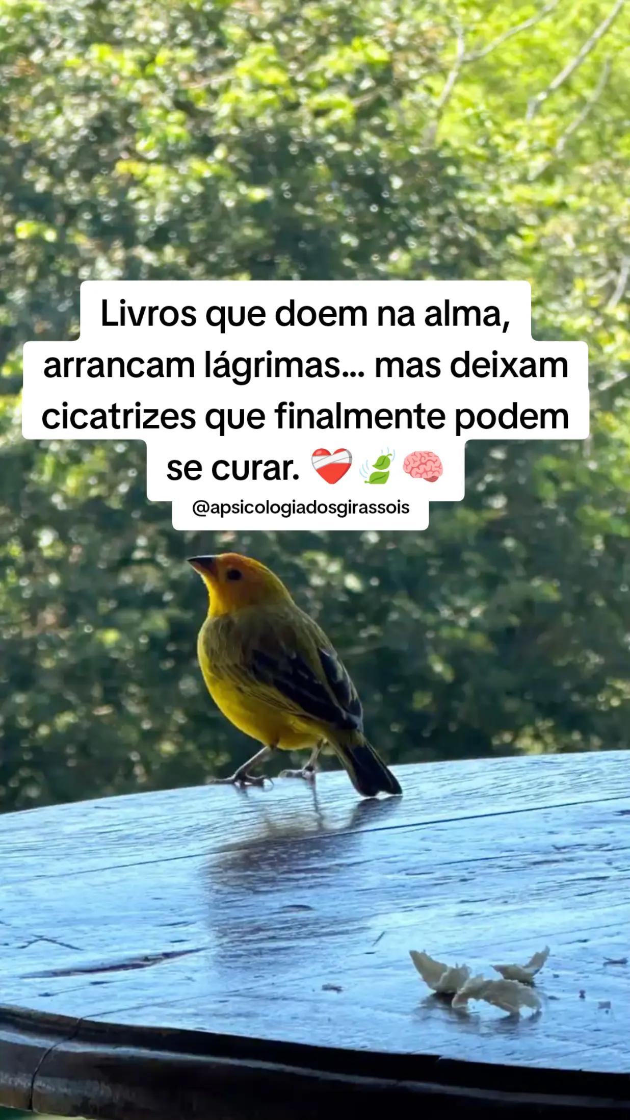@a psicologia dos girass&oacute;is🌻🧠