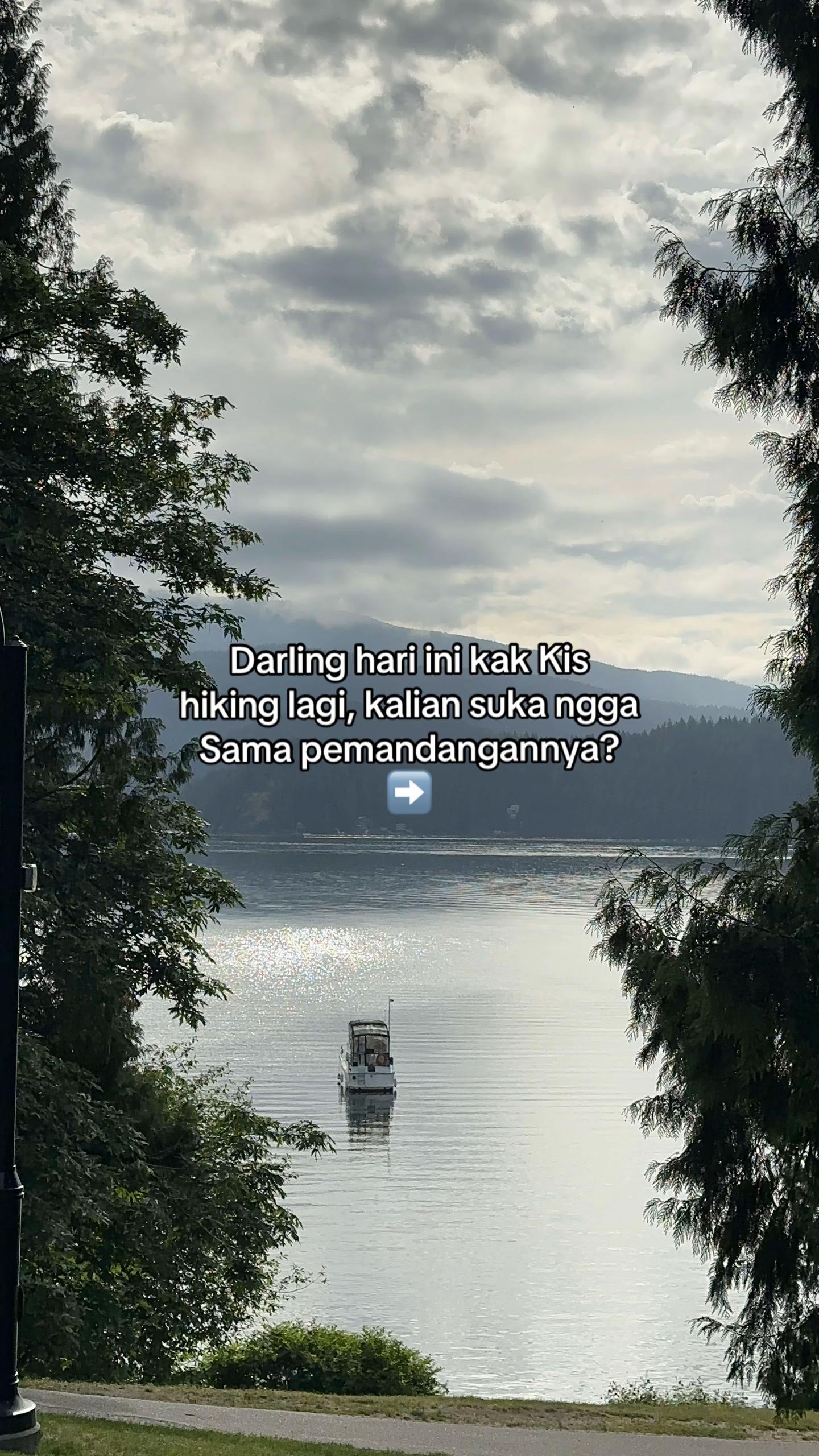 @Markis