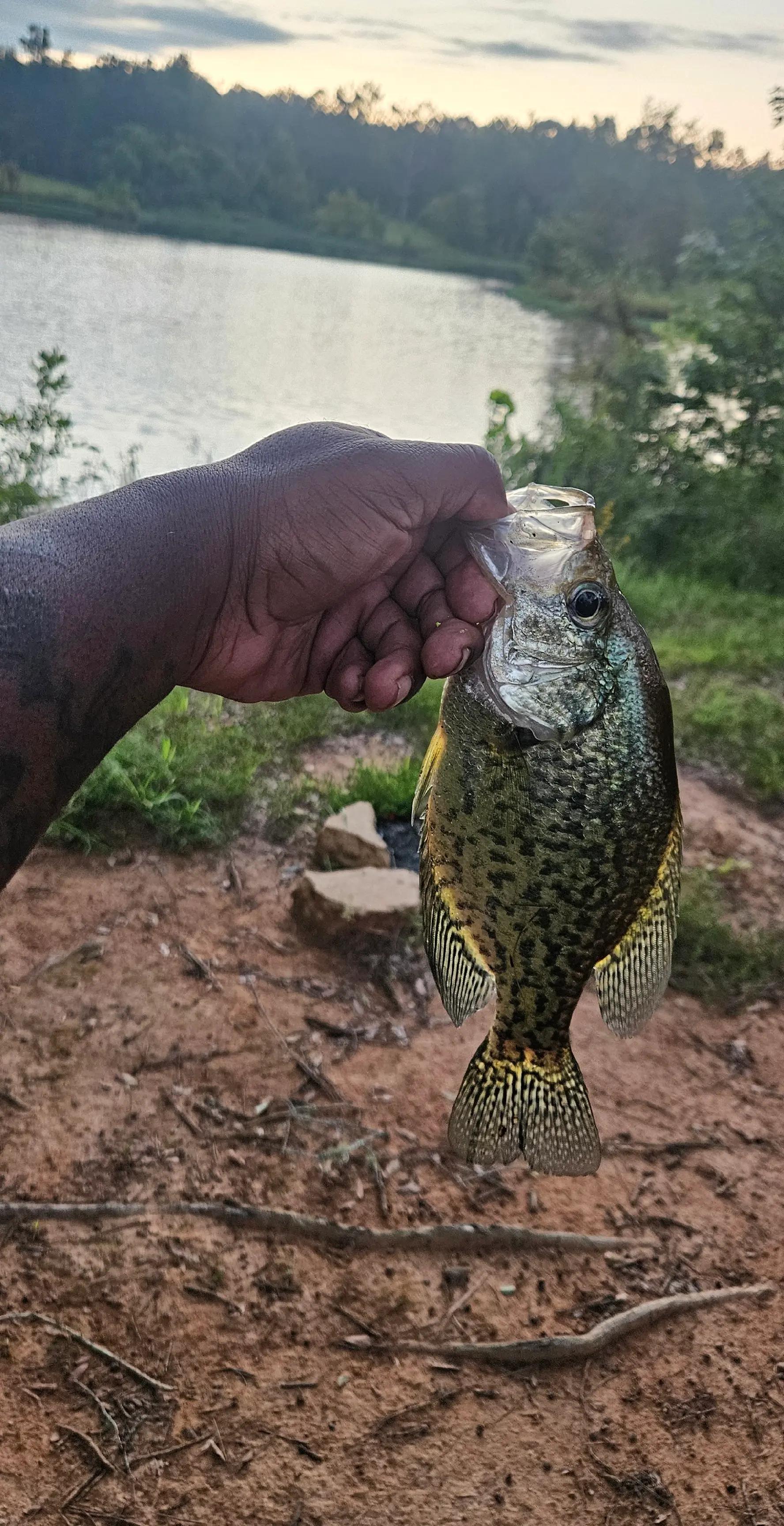 @BIGG BOYY FISHING