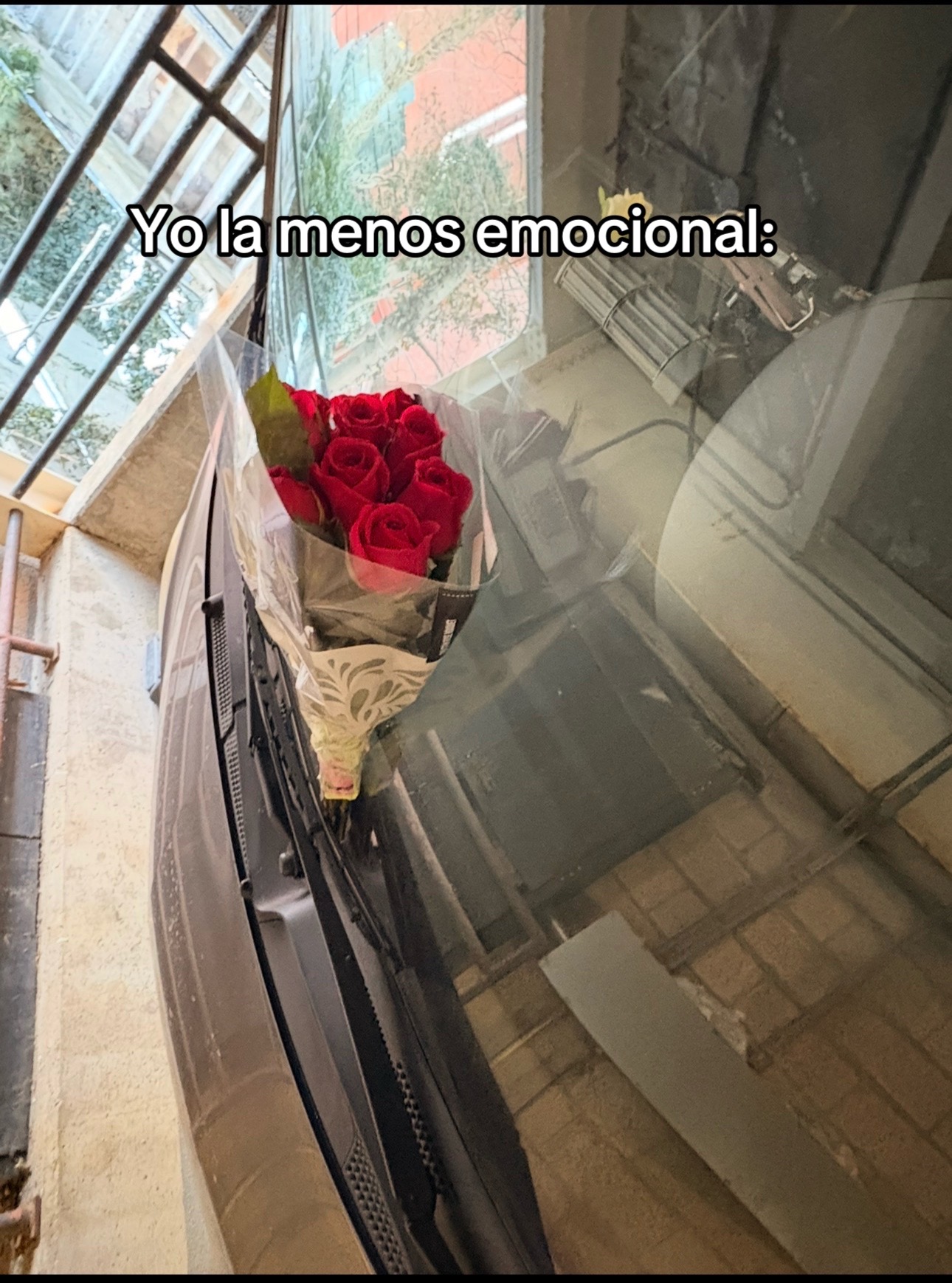@Heydy M Tejeda