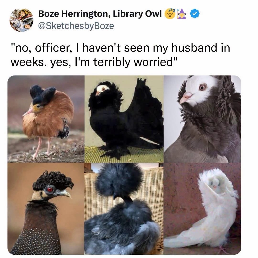 @🌻