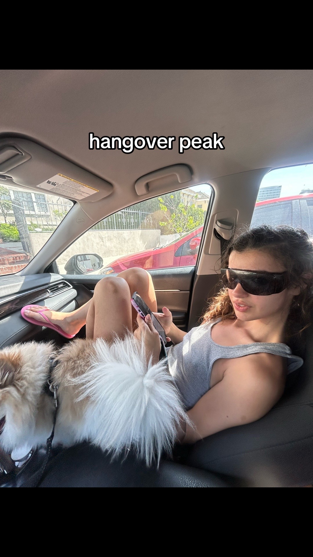 @ilyskaye