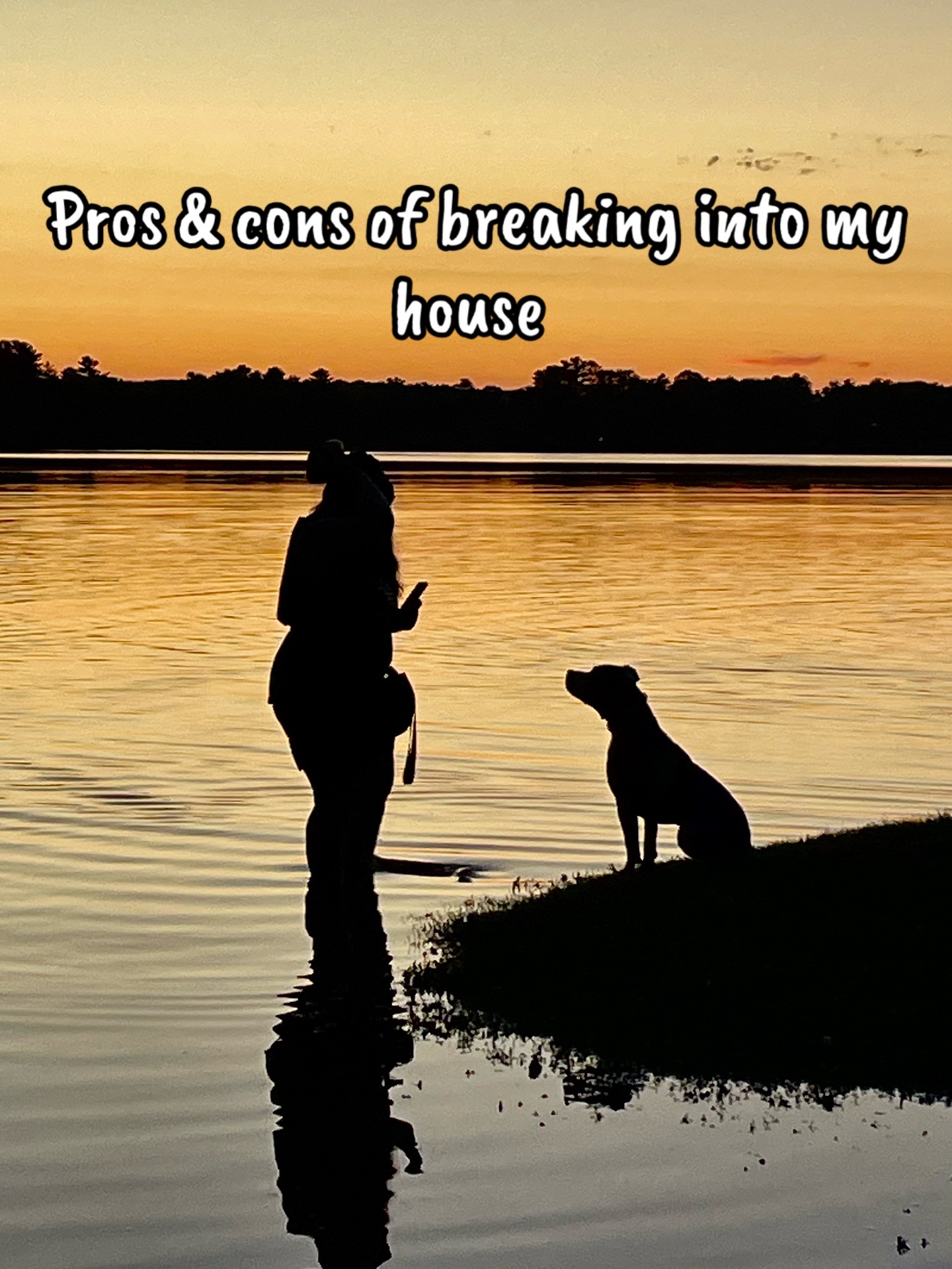 @Upsidedown&Above_corgis