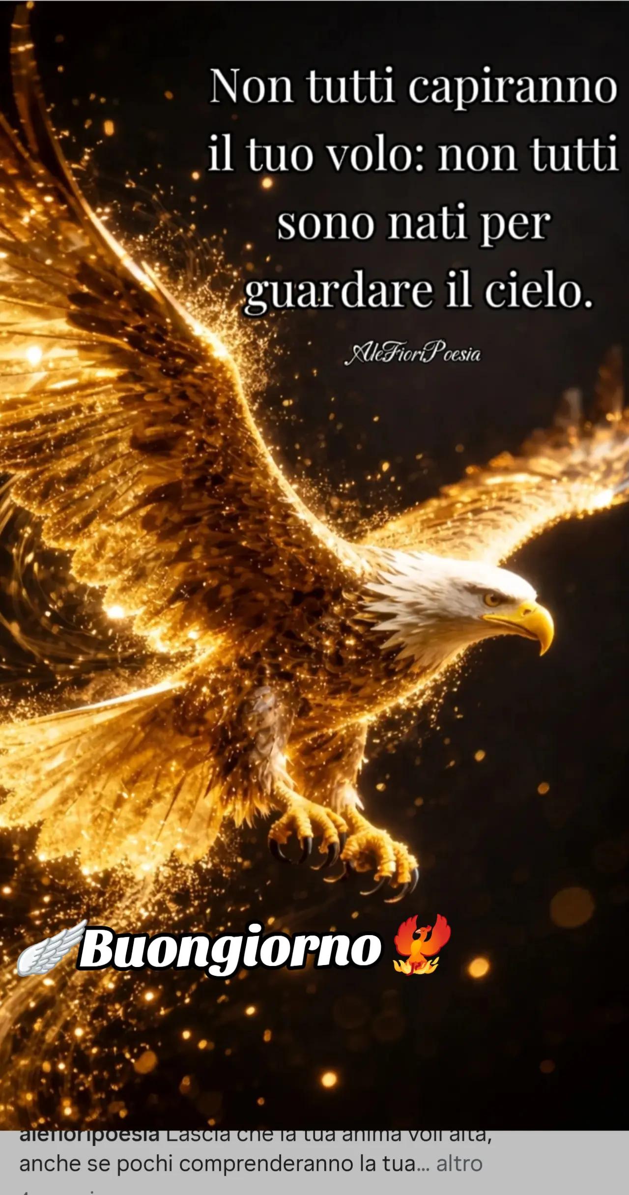 @La fenice🐦🔥