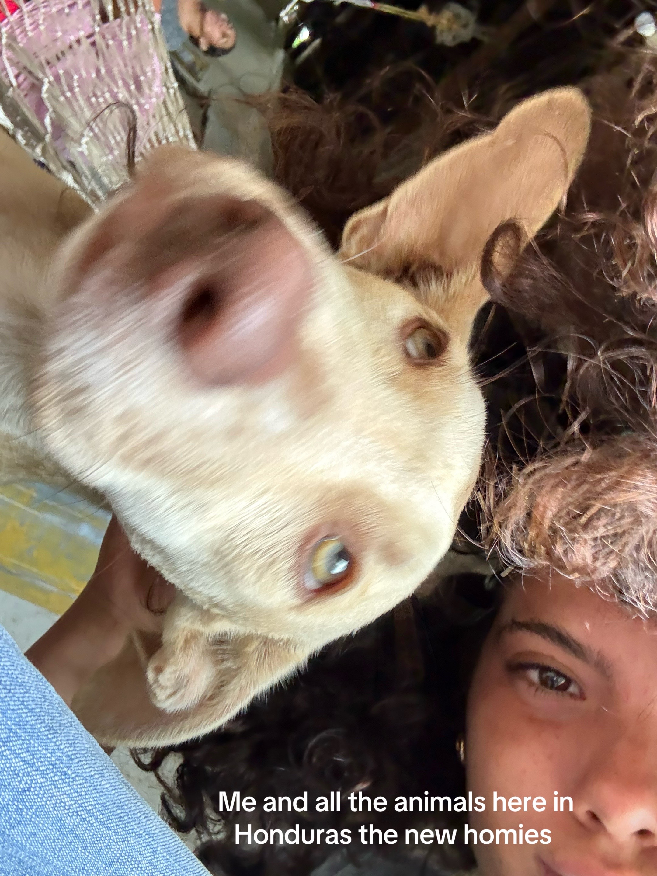 @BoogieWithSasha
