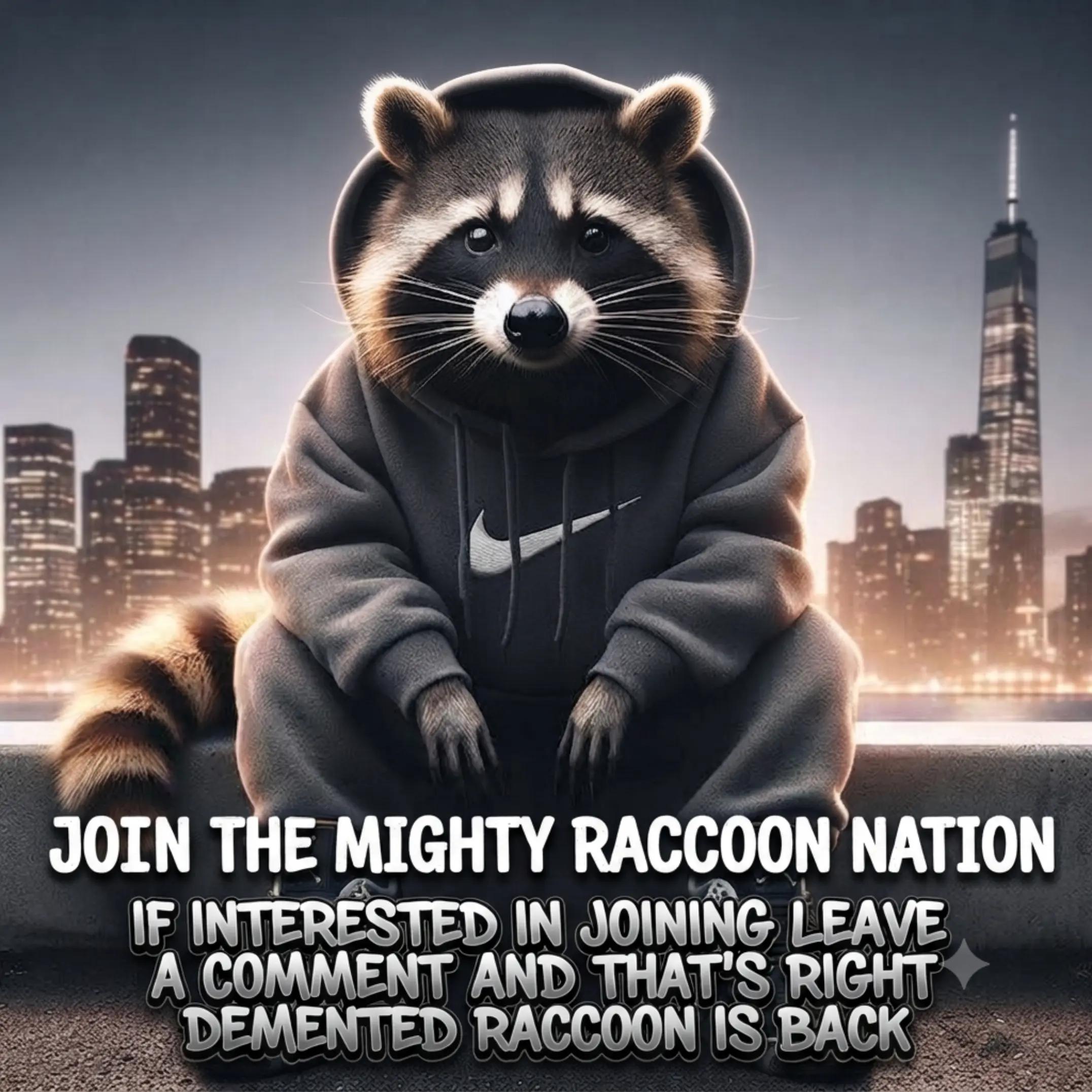 @DementedRaccoon