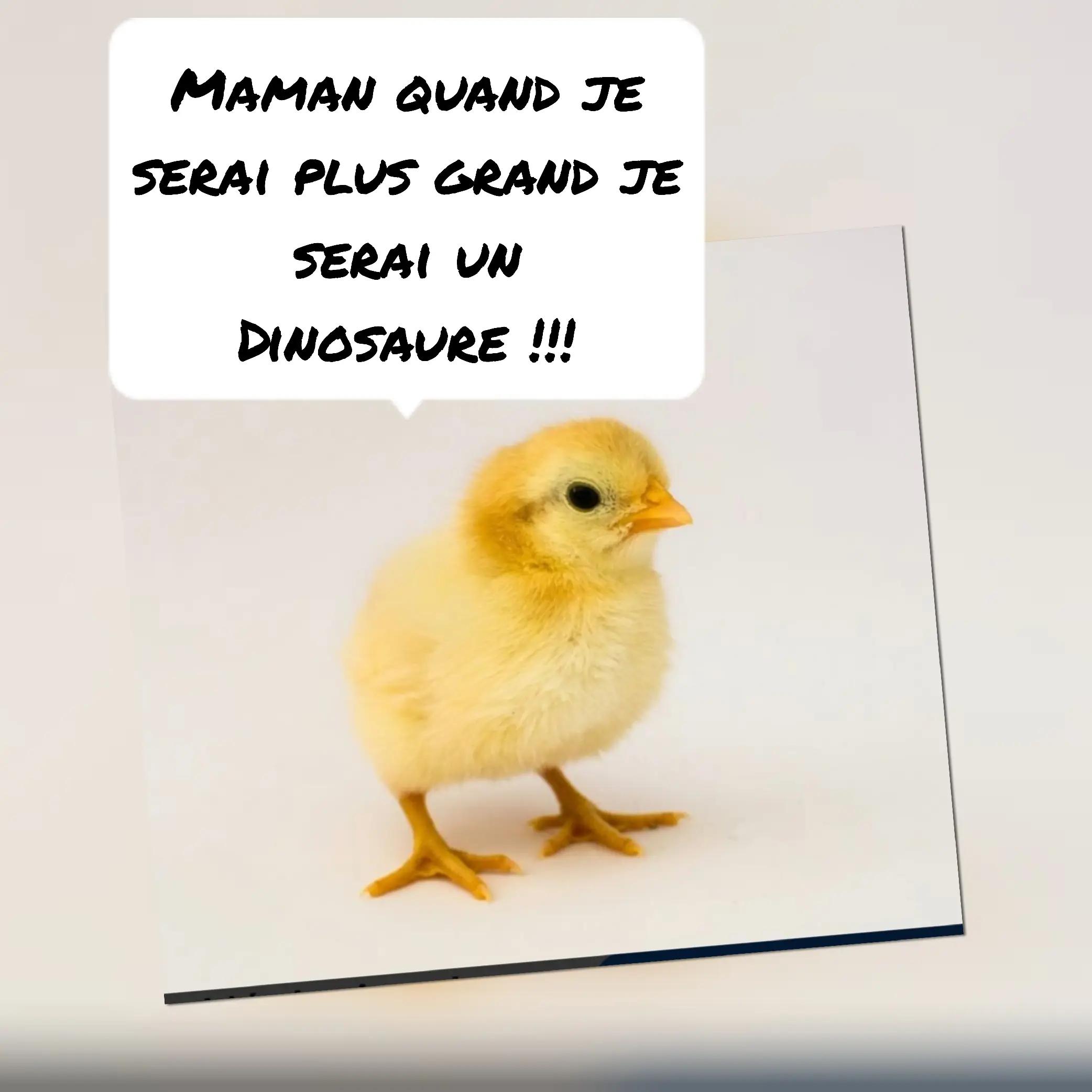 @Humour de wilou