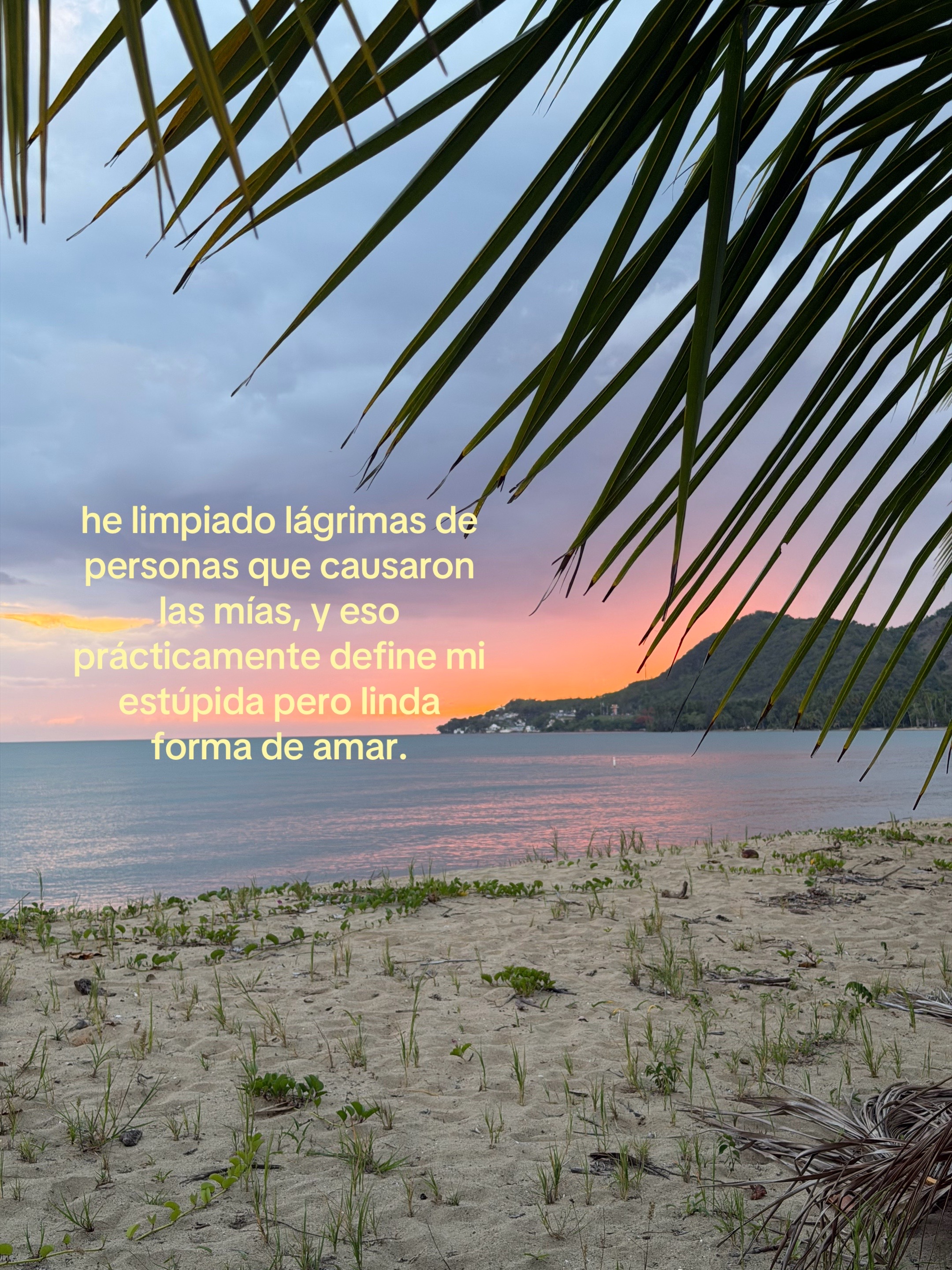 @🐒ophia