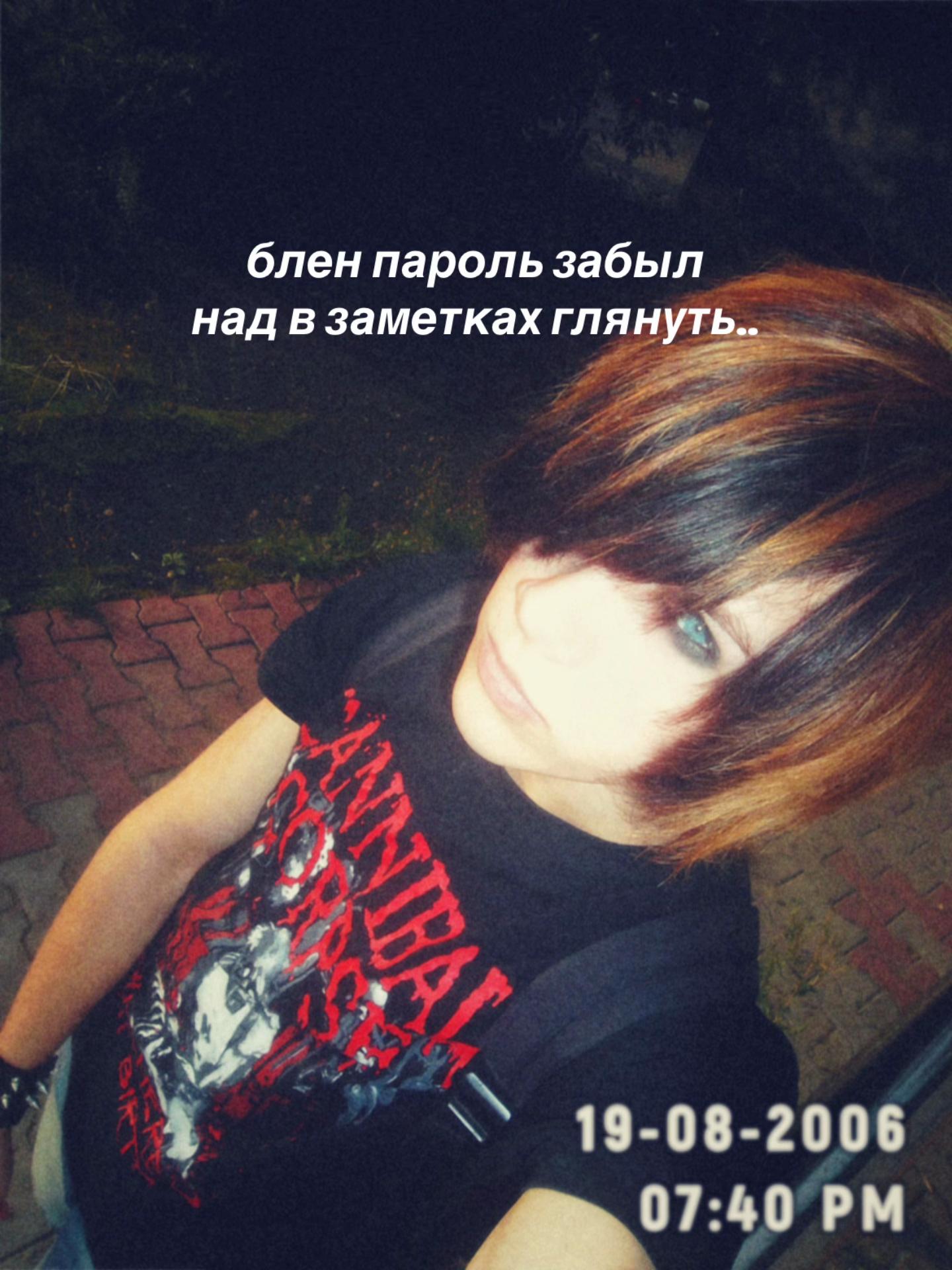 @。*:\ йоᴋо ᴄᴀᴛоᴩи /:✧.