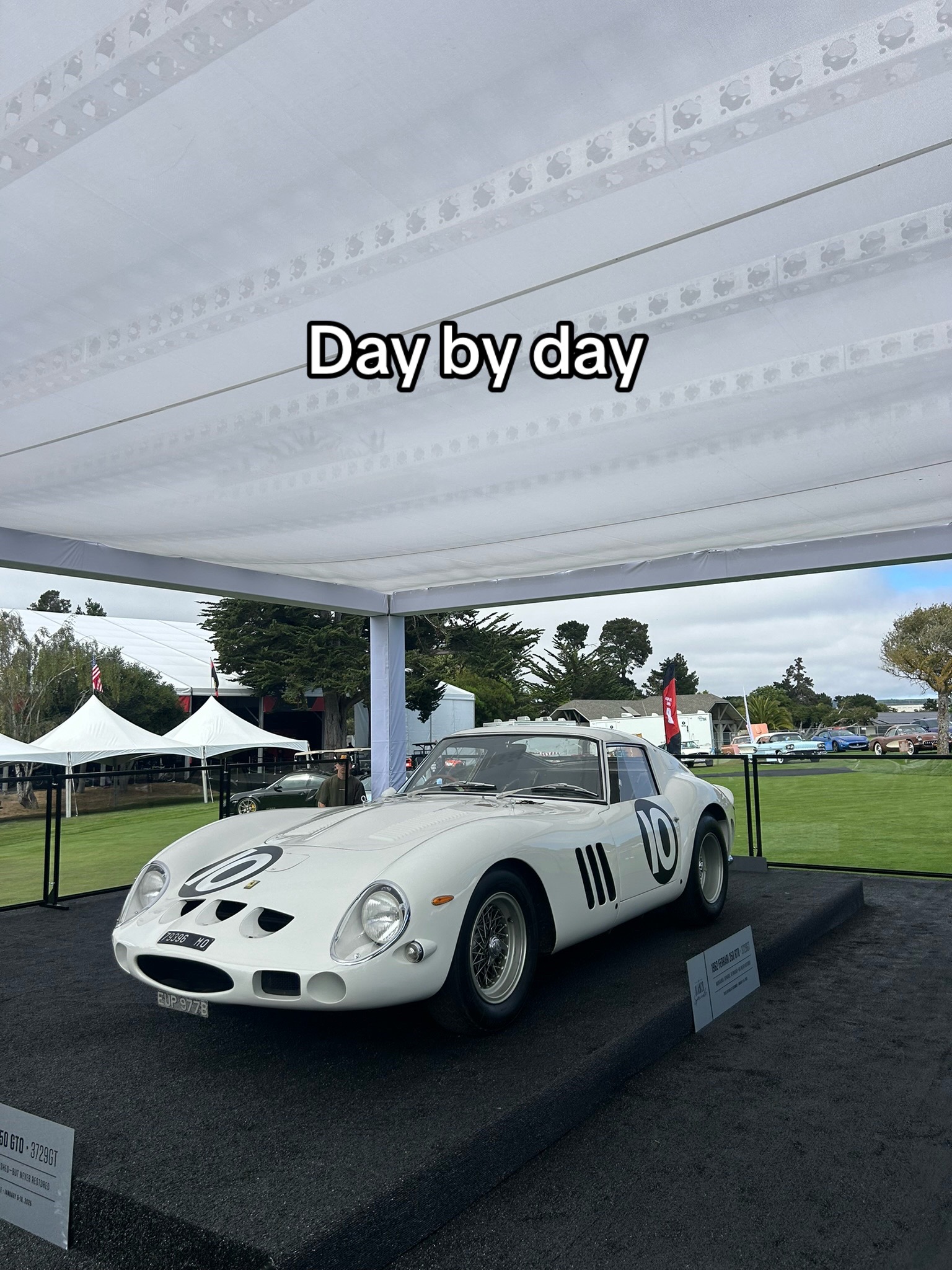 @Cameron Polidoro