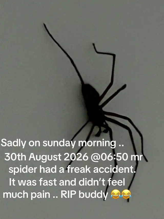 @lisawardie11@GENX1975