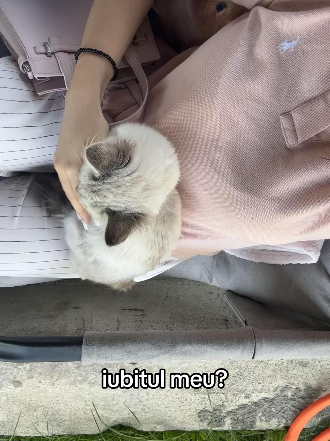 @𝒜𝓁ℯ𝓍𝓈𝒶𝓃𝒹𝓇𝒶