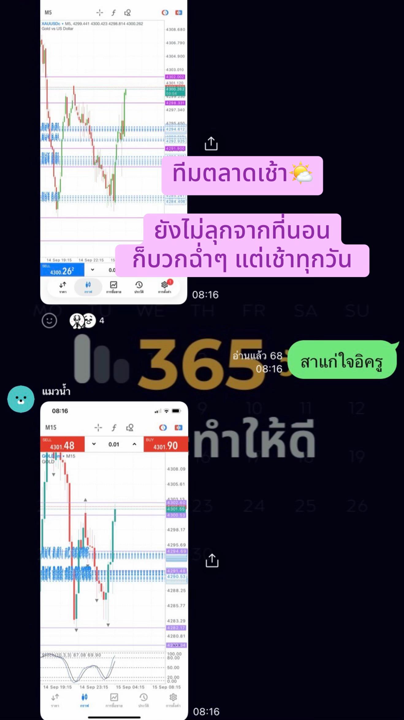 @อนุบาลหมีน้อยเทรดเดอร์🧸