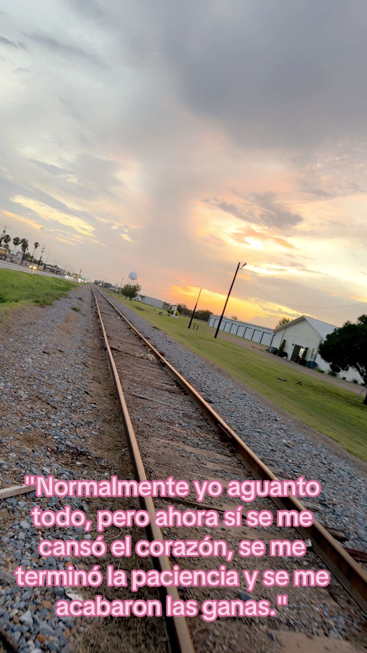 @Magali Tijerina
