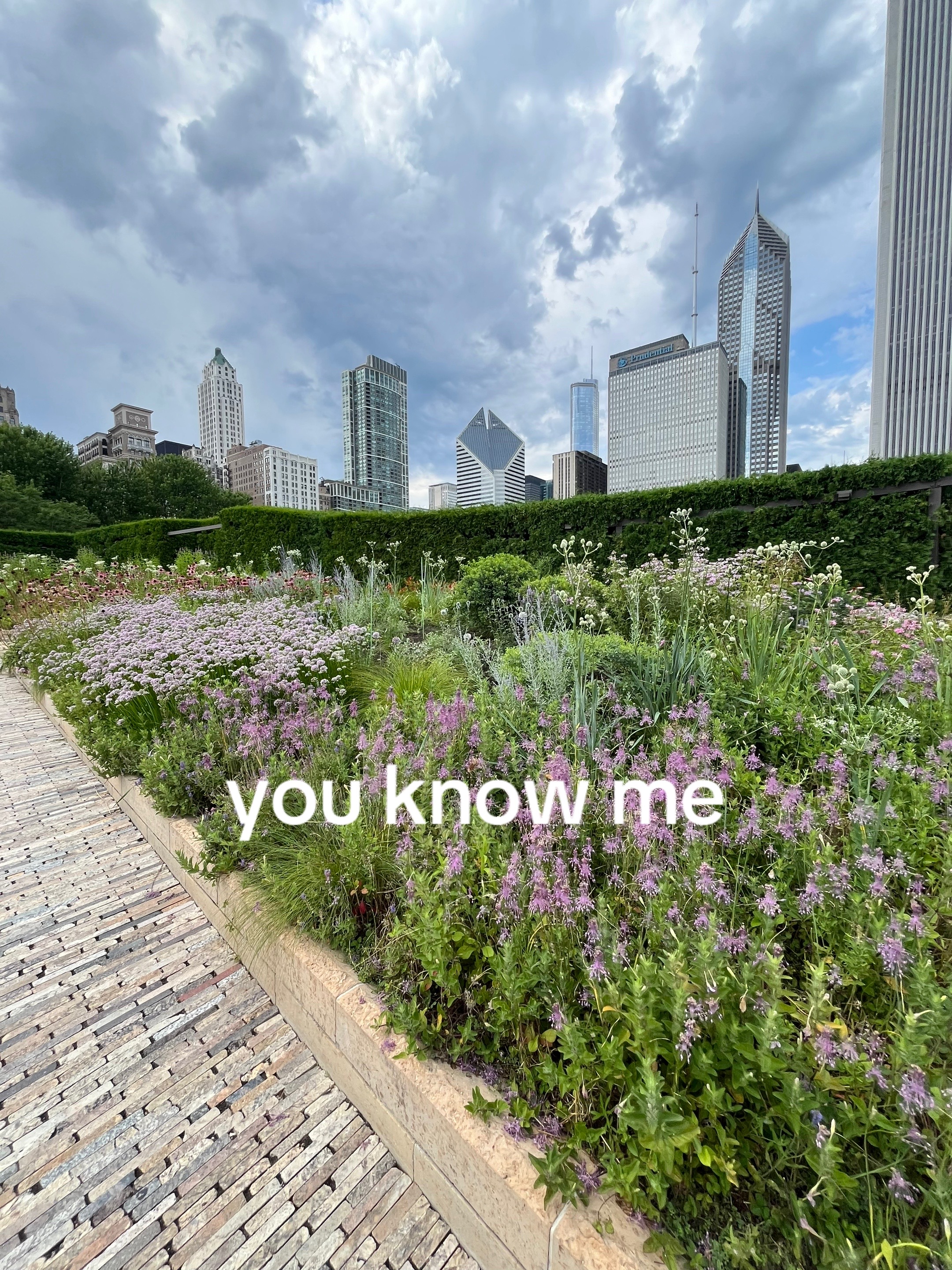@Nicole