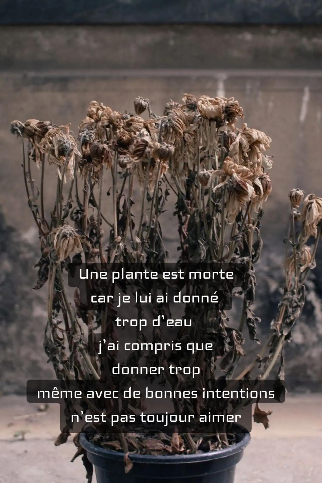 @Christine Vignaud Sangerma