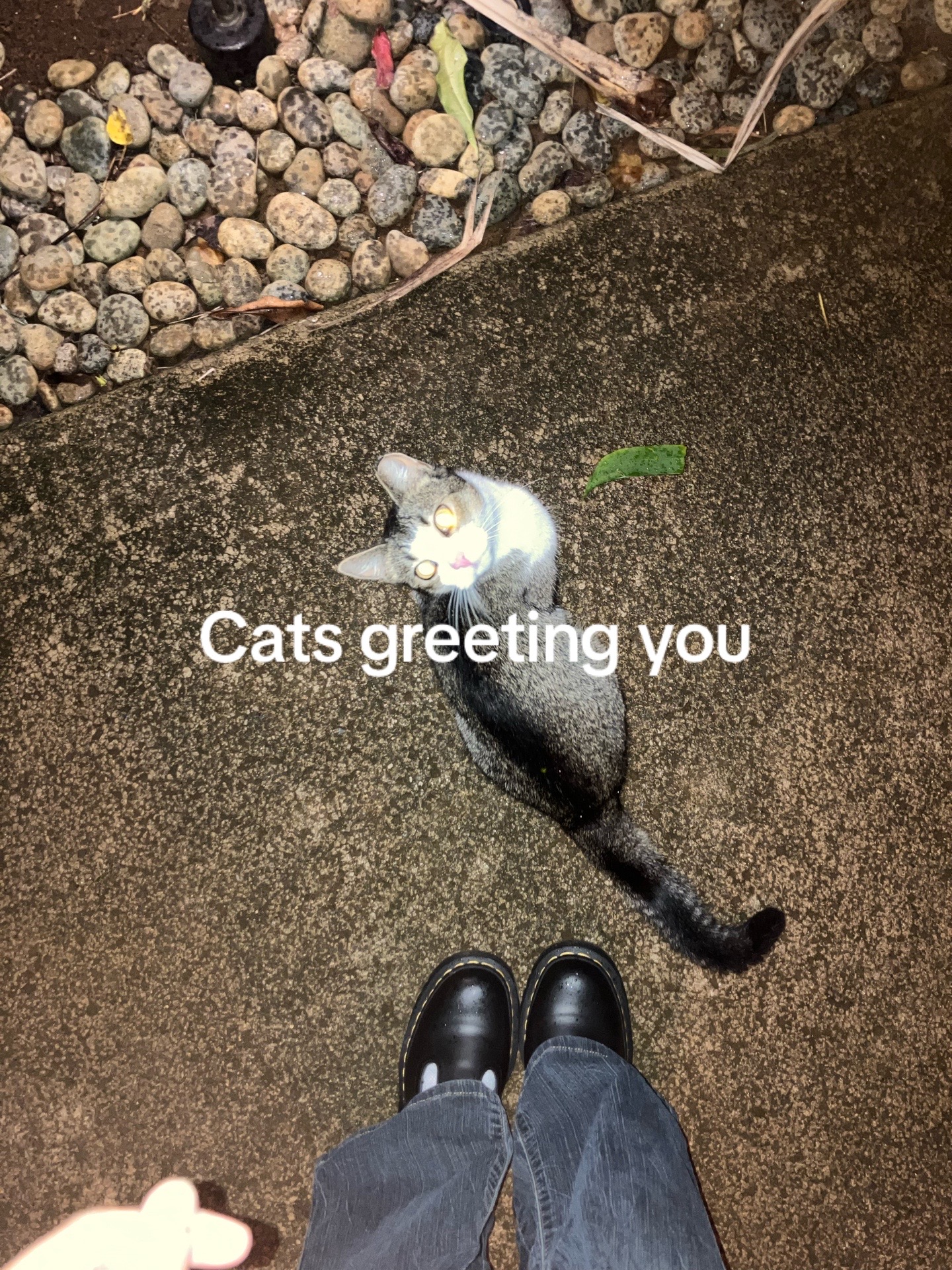 @Mini Mina Chan